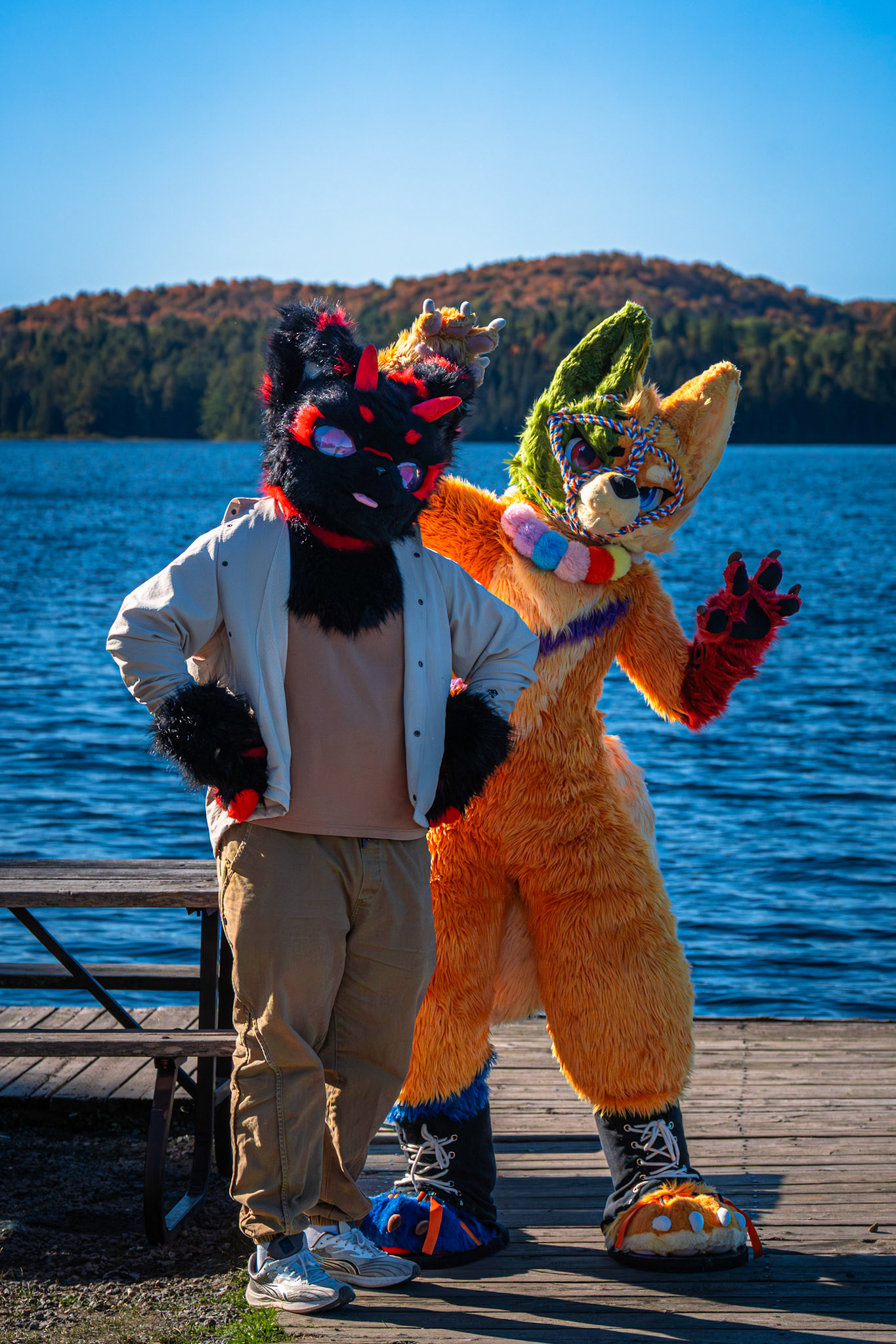 Algonquin Fall Colour