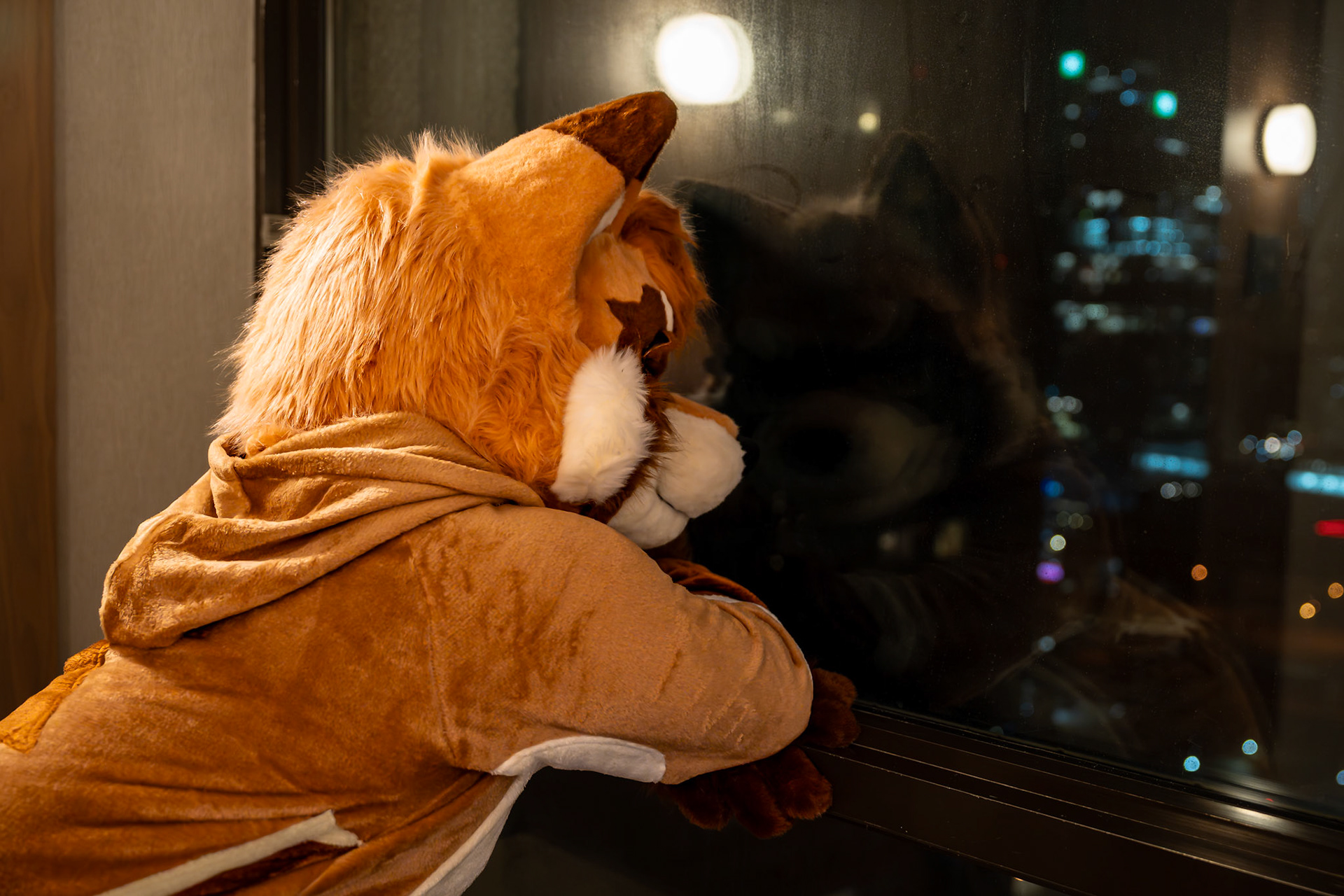 Furnal Equinox
