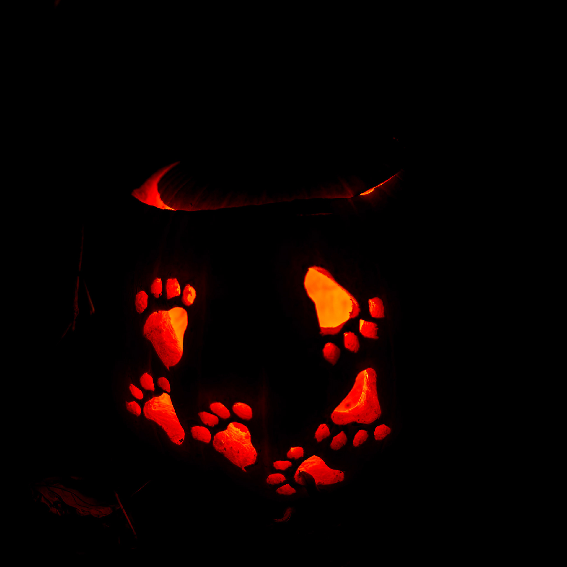 Pumpkin Trail