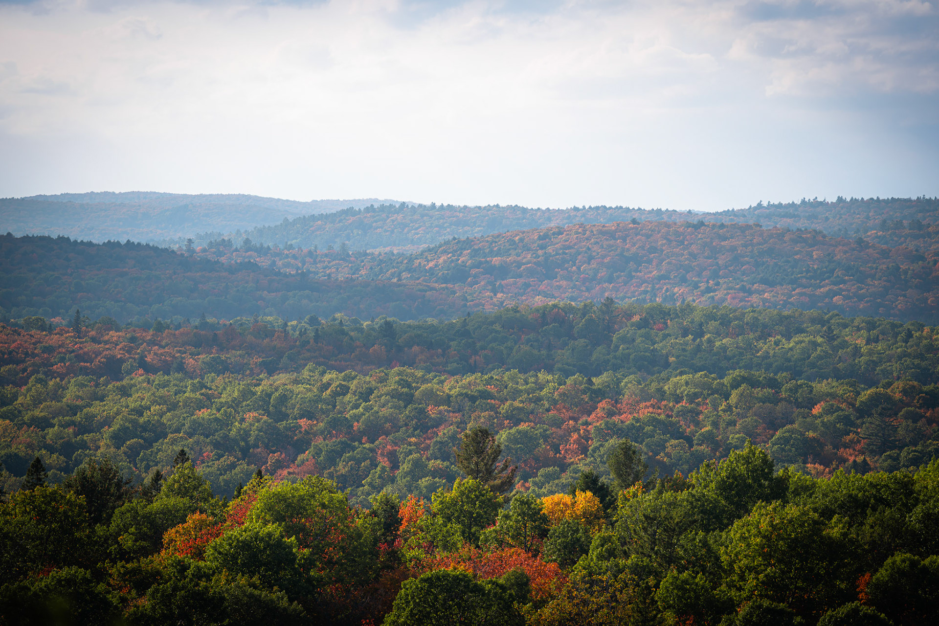 Algonquin Fall Colour
