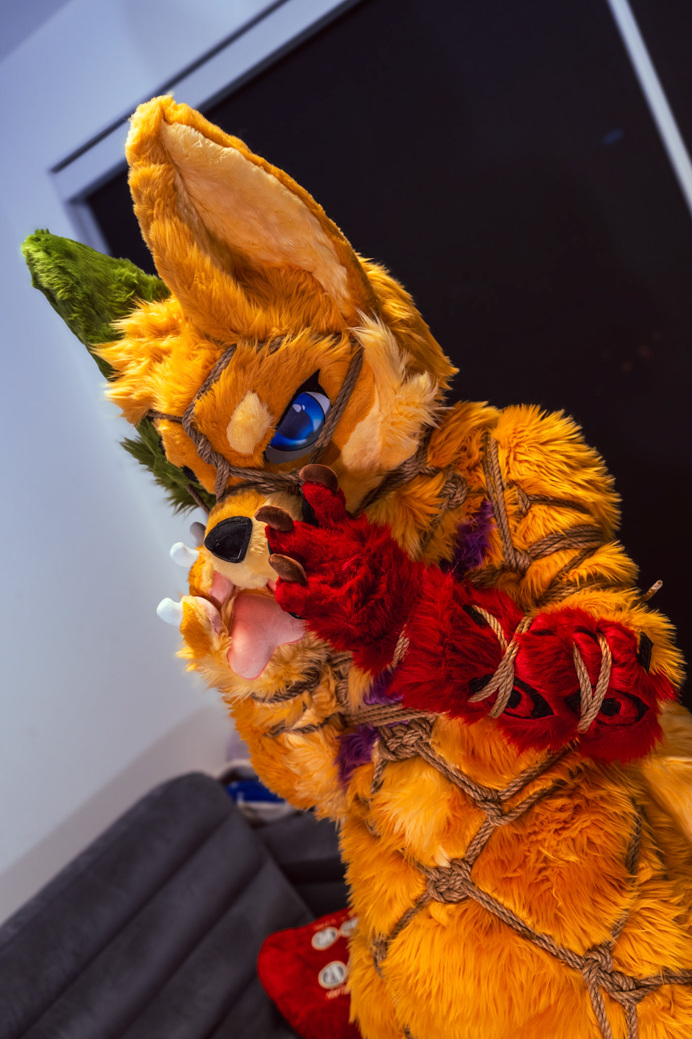 Shibari Inu