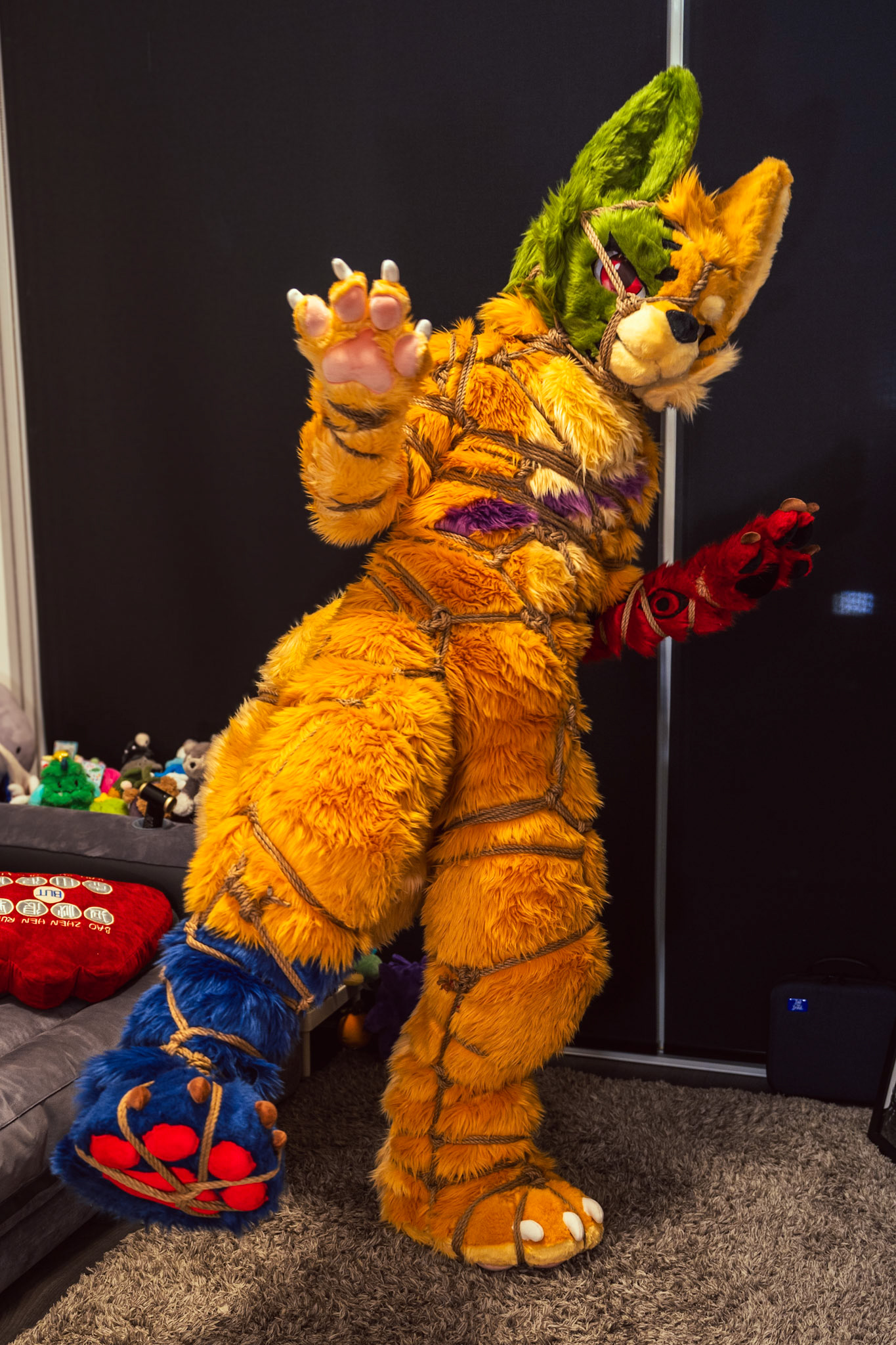 Shibari Inu