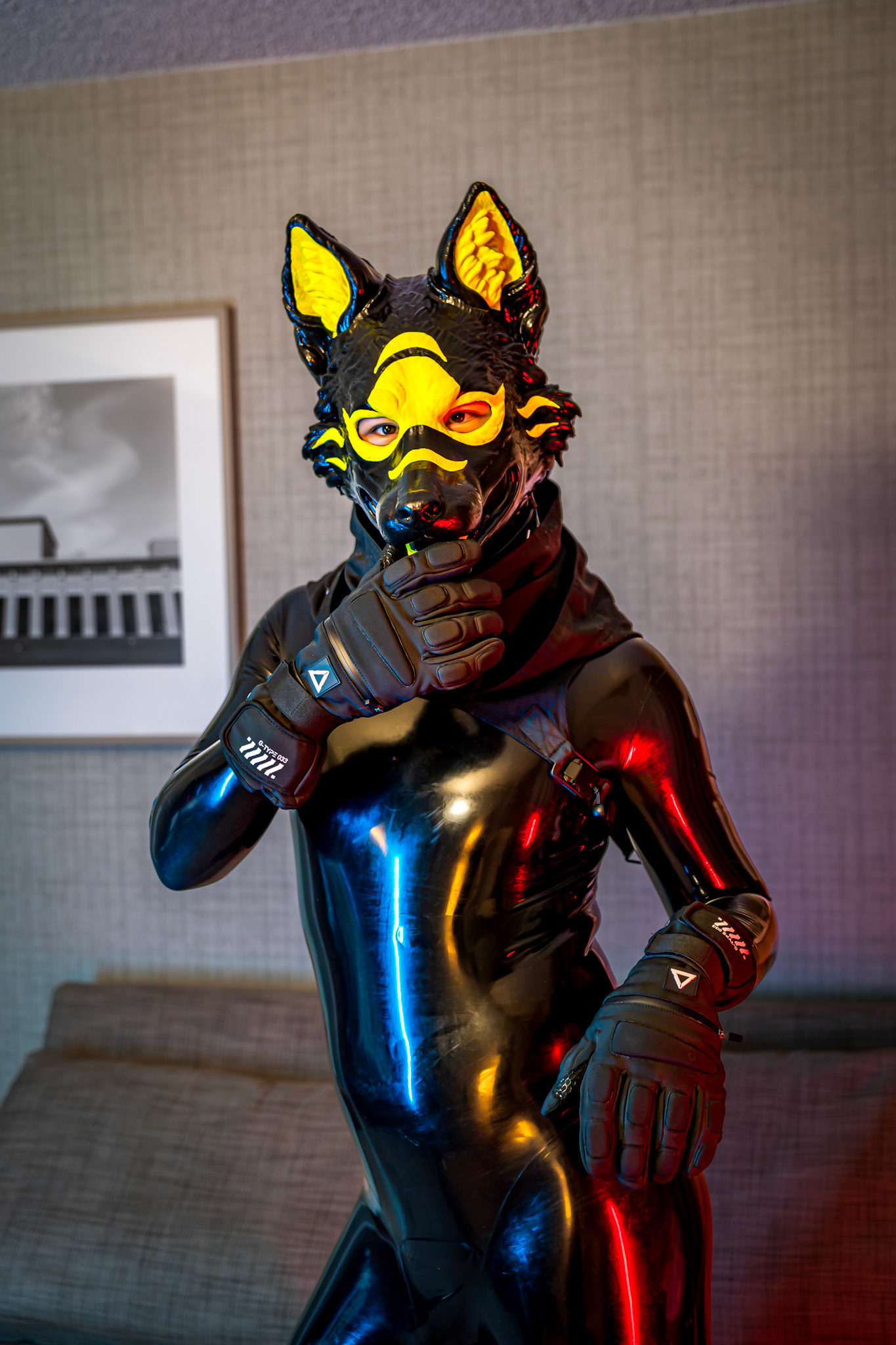 Anthrocon 2026