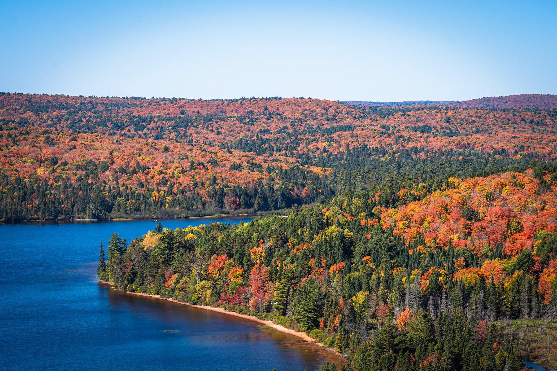 Algonquin Fall Colour