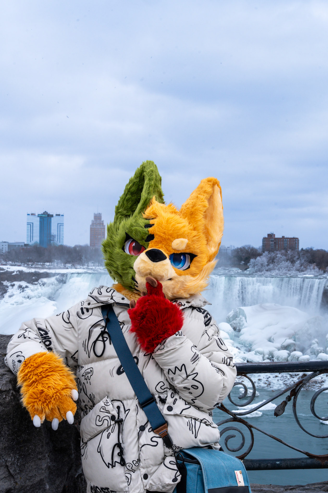 Niagara Winters