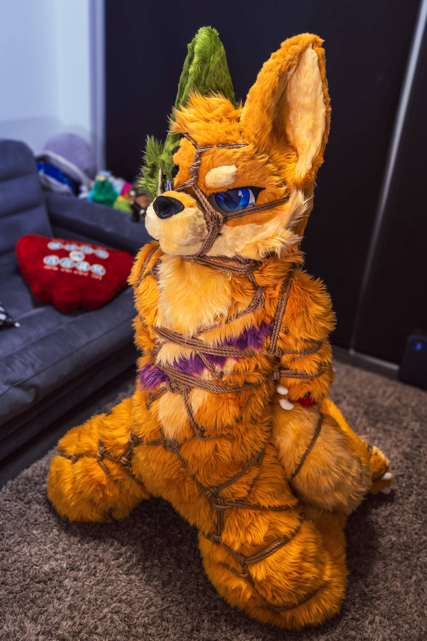 Shibari Inu