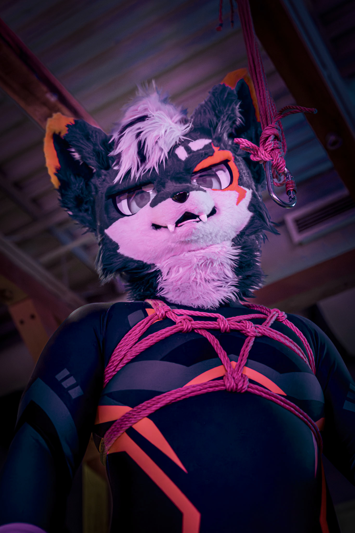 Kinbaku [20260501]