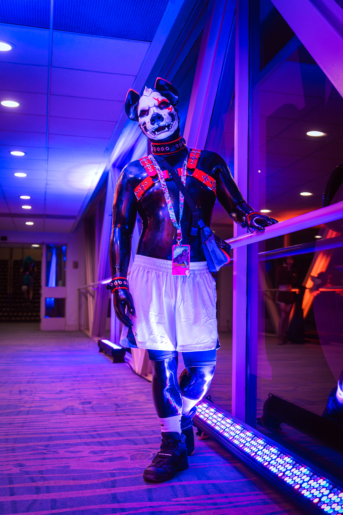 Furnal Equinox 2025
