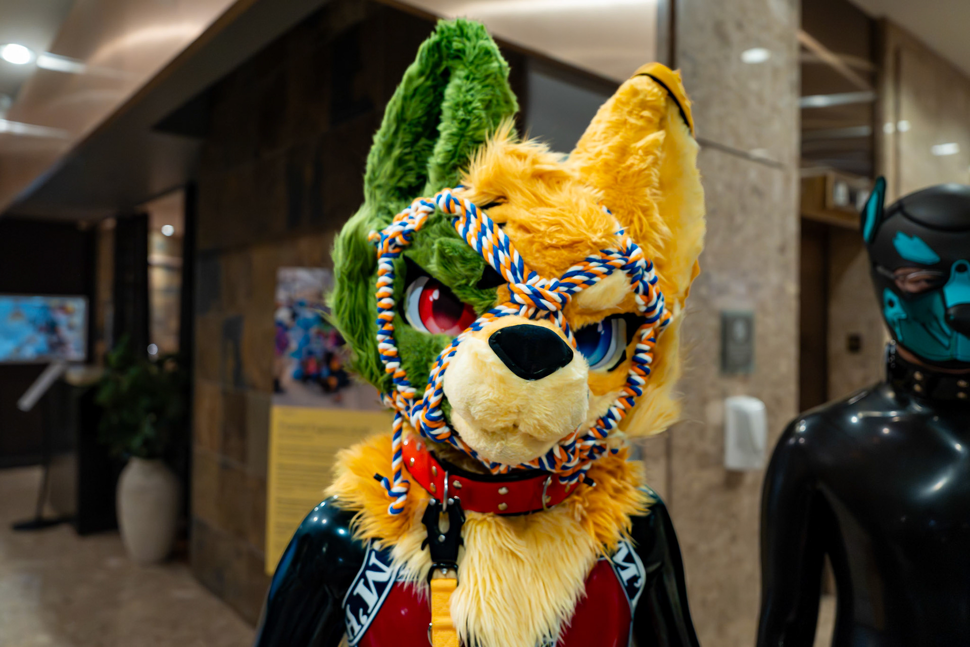 Furnal Equinox