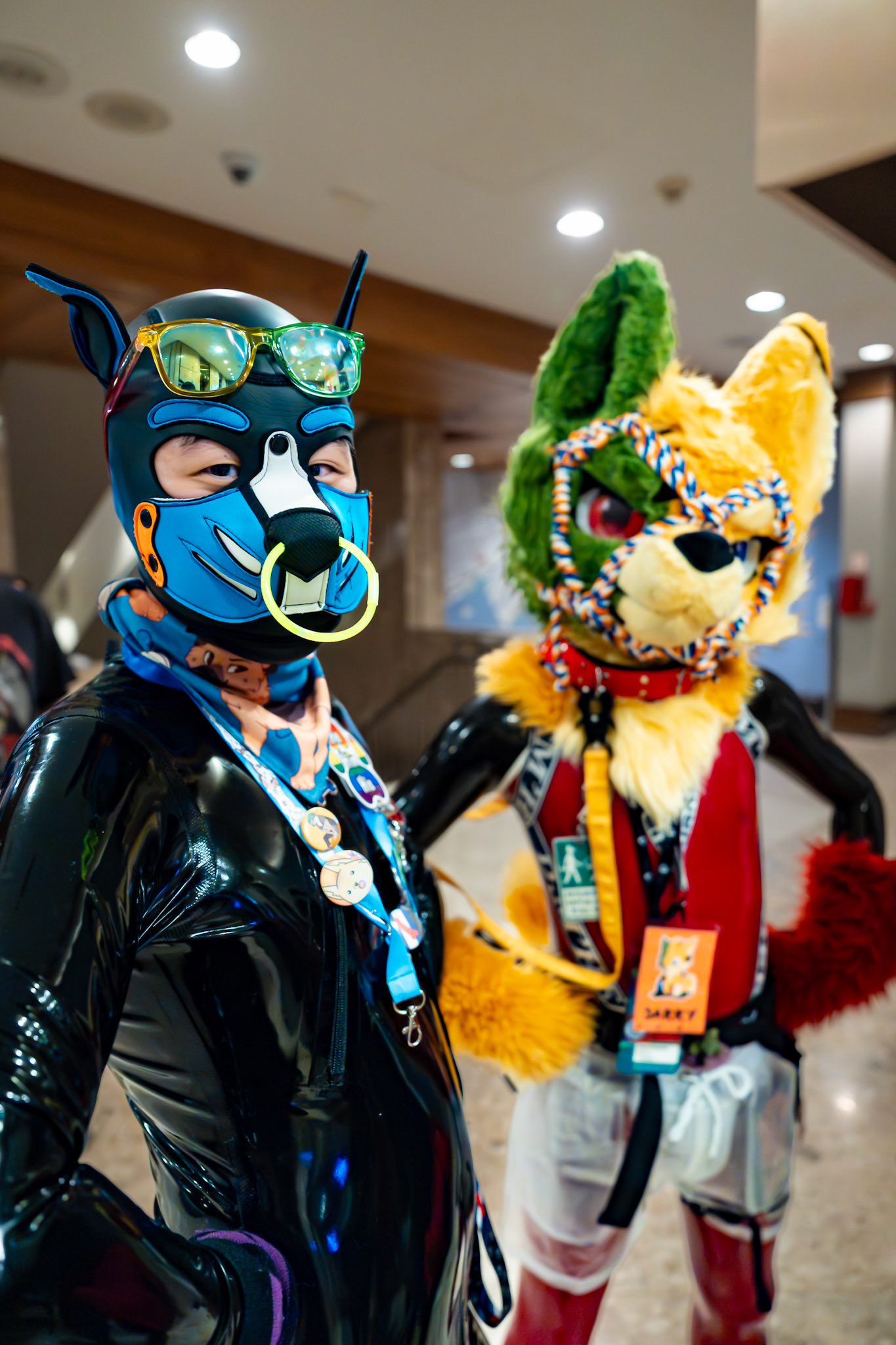 Furnal Equinox