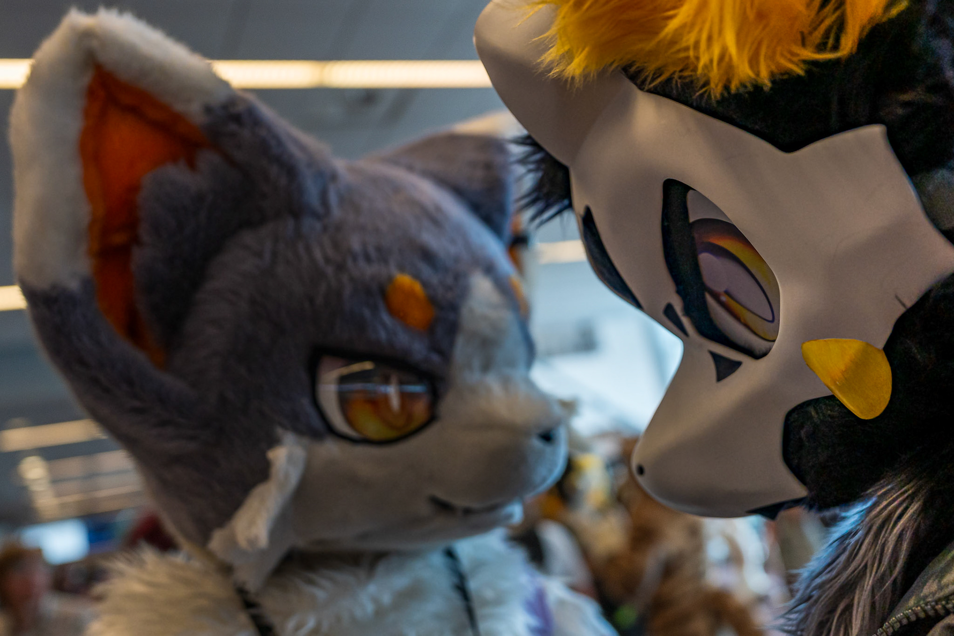 Anthrocon 2026