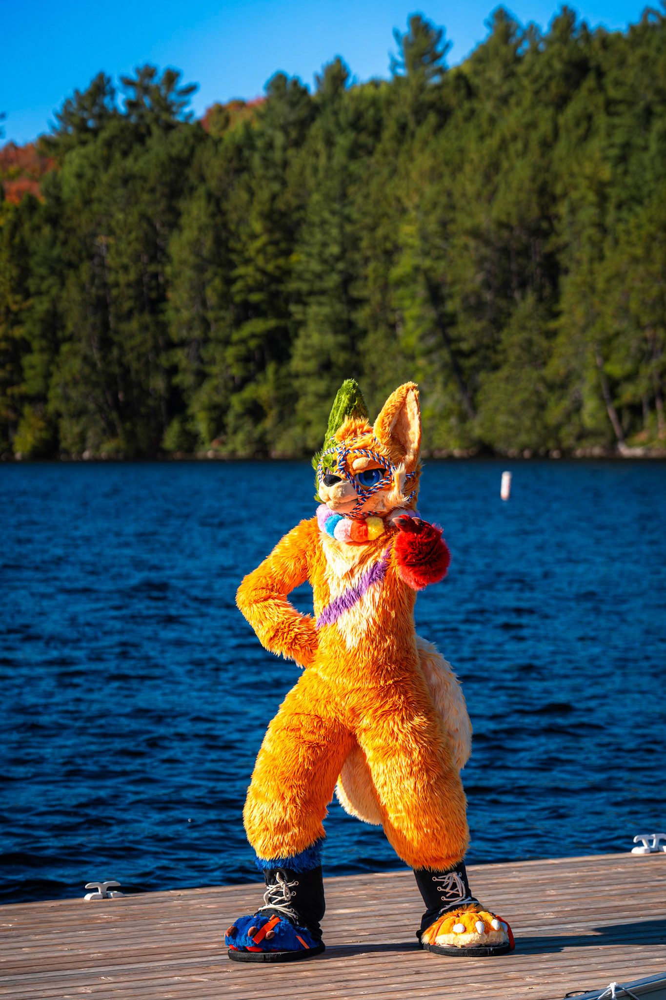 Algonquin Fall Colour