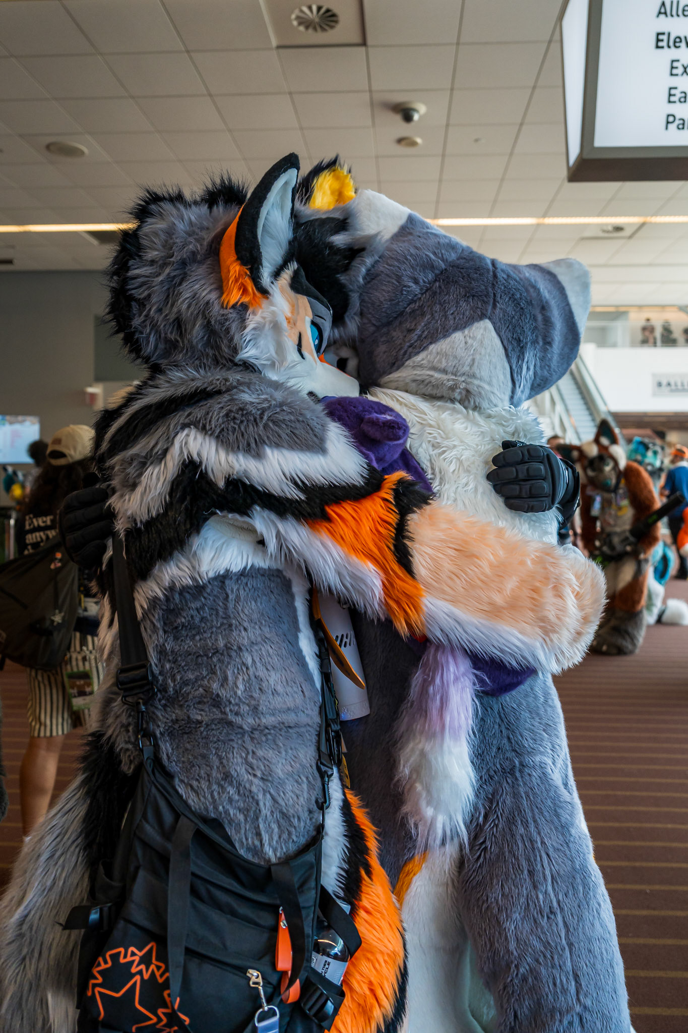 Anthrocon 2026