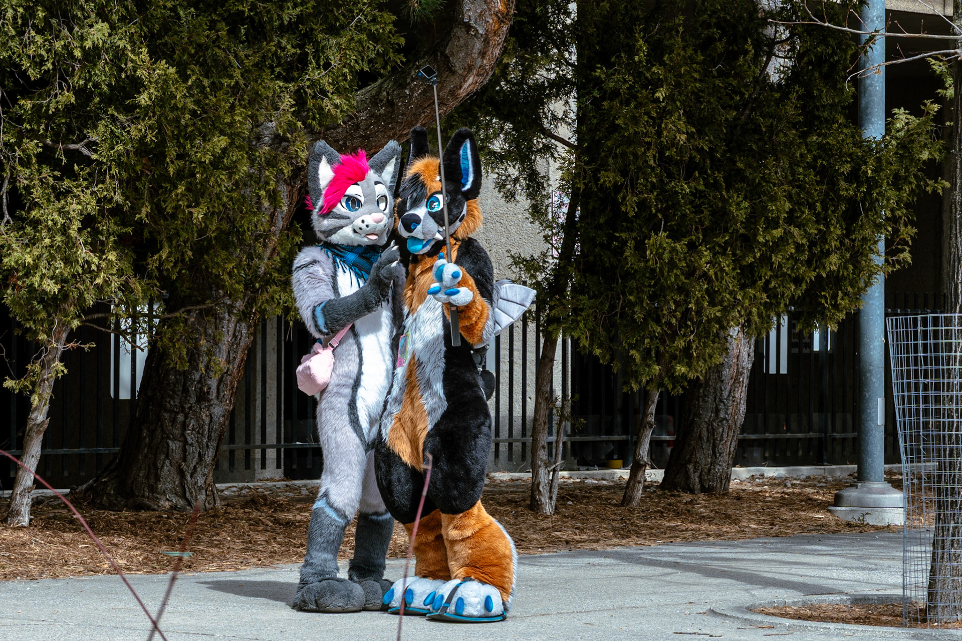 Furnal Equinox 2025