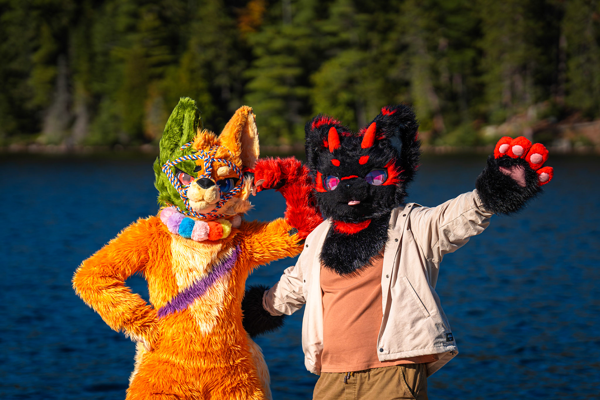 Algonquin Fall Colour