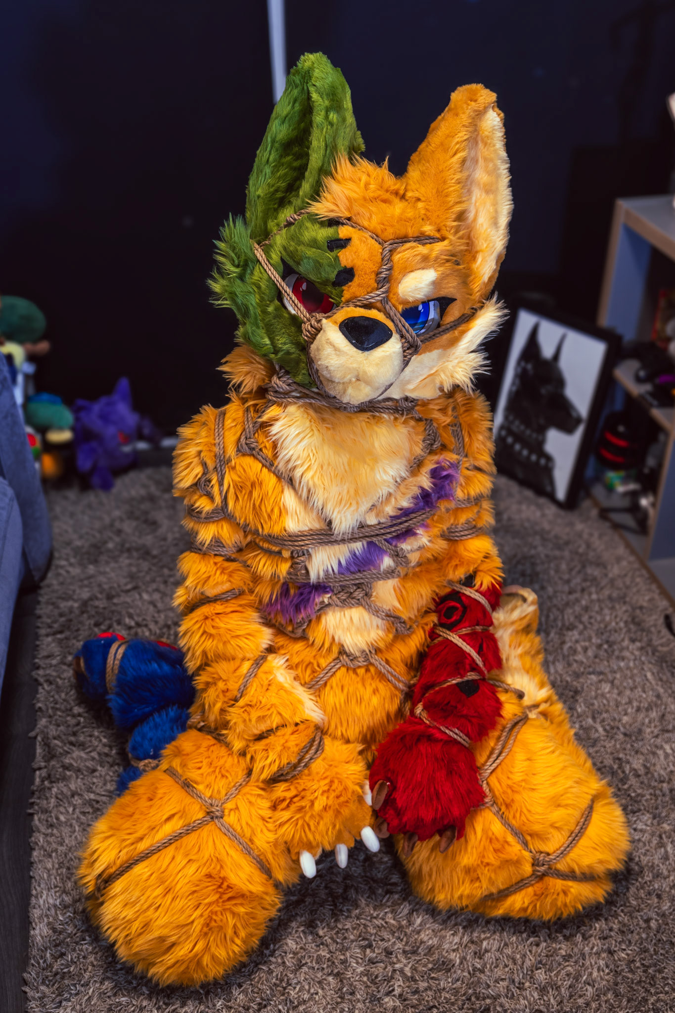 Shibari Inu