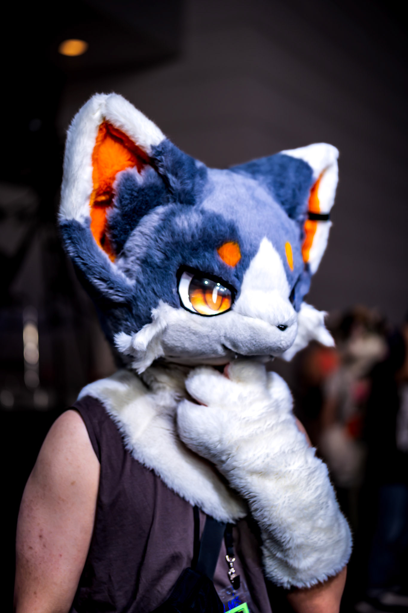 Anthrocon 2026