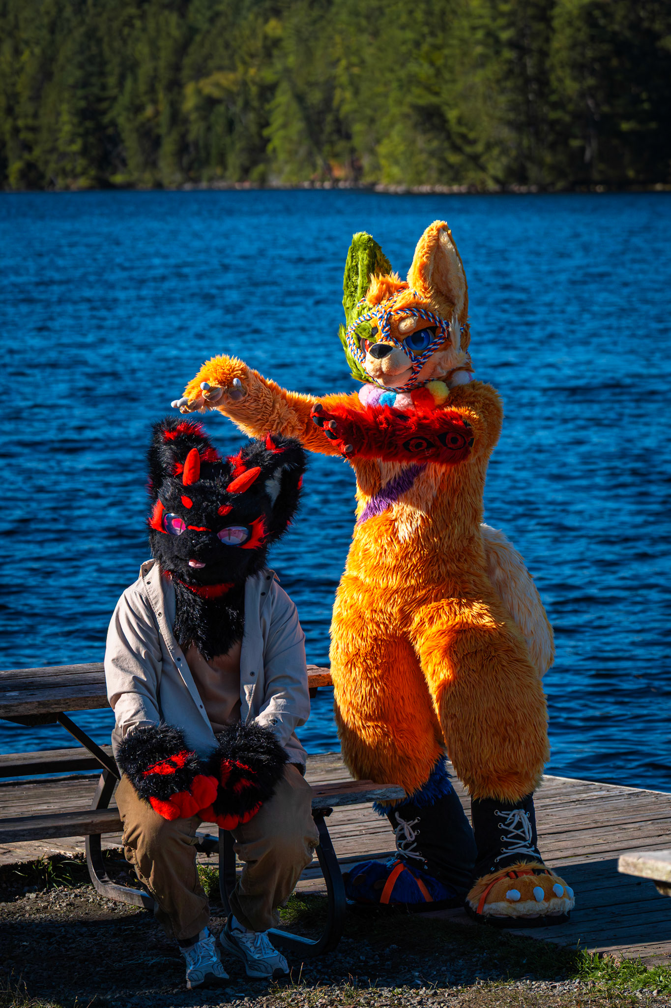 Algonquin Fall Colour