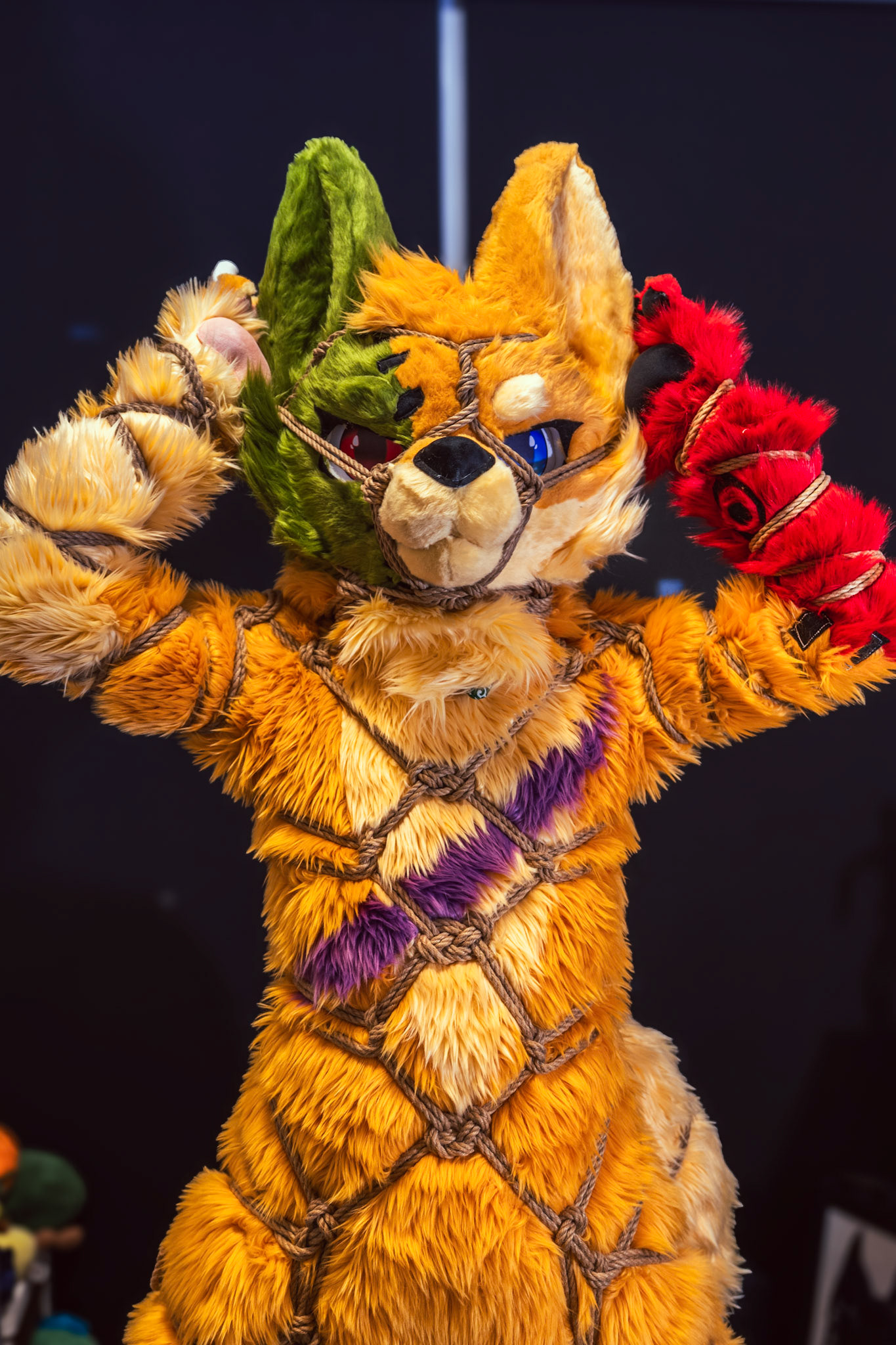 Shibari Inu