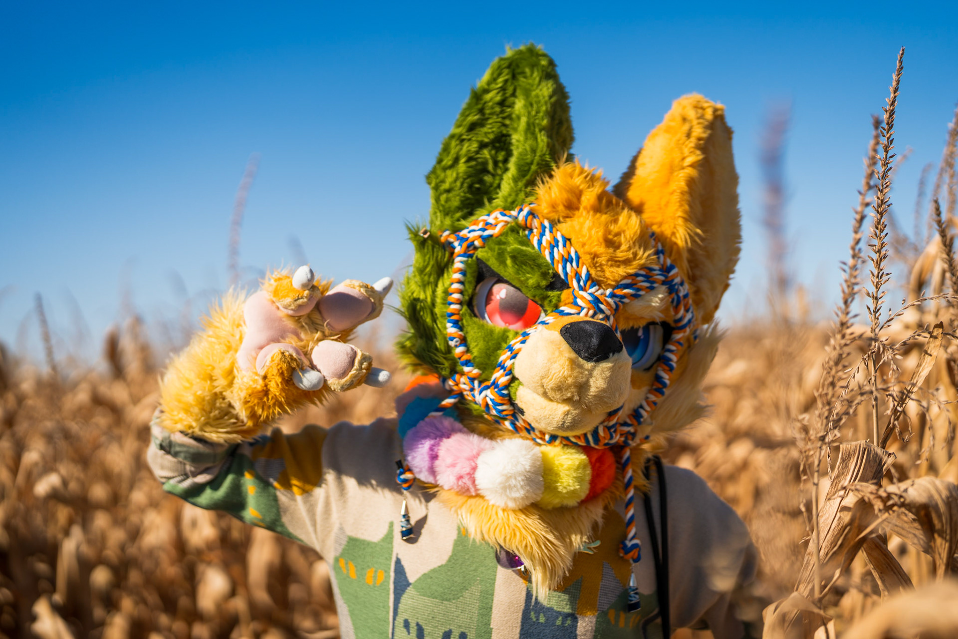 Corn Maze