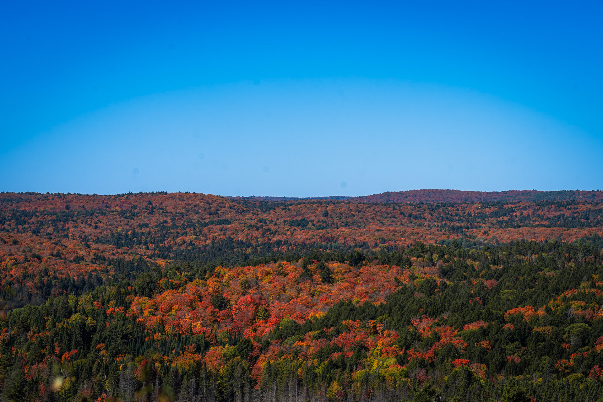 Algonquin Fall Colour