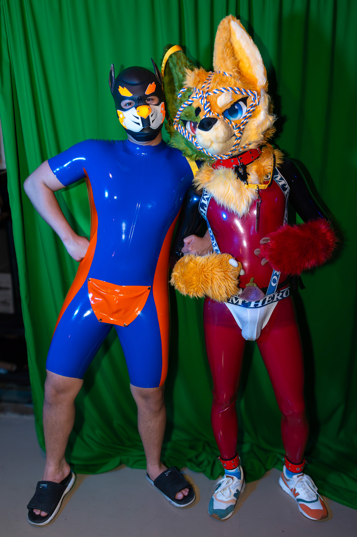 Pawty #2