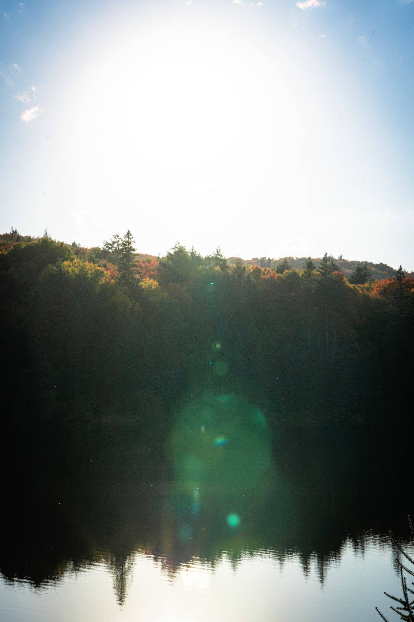 Algonquin Fall Colour