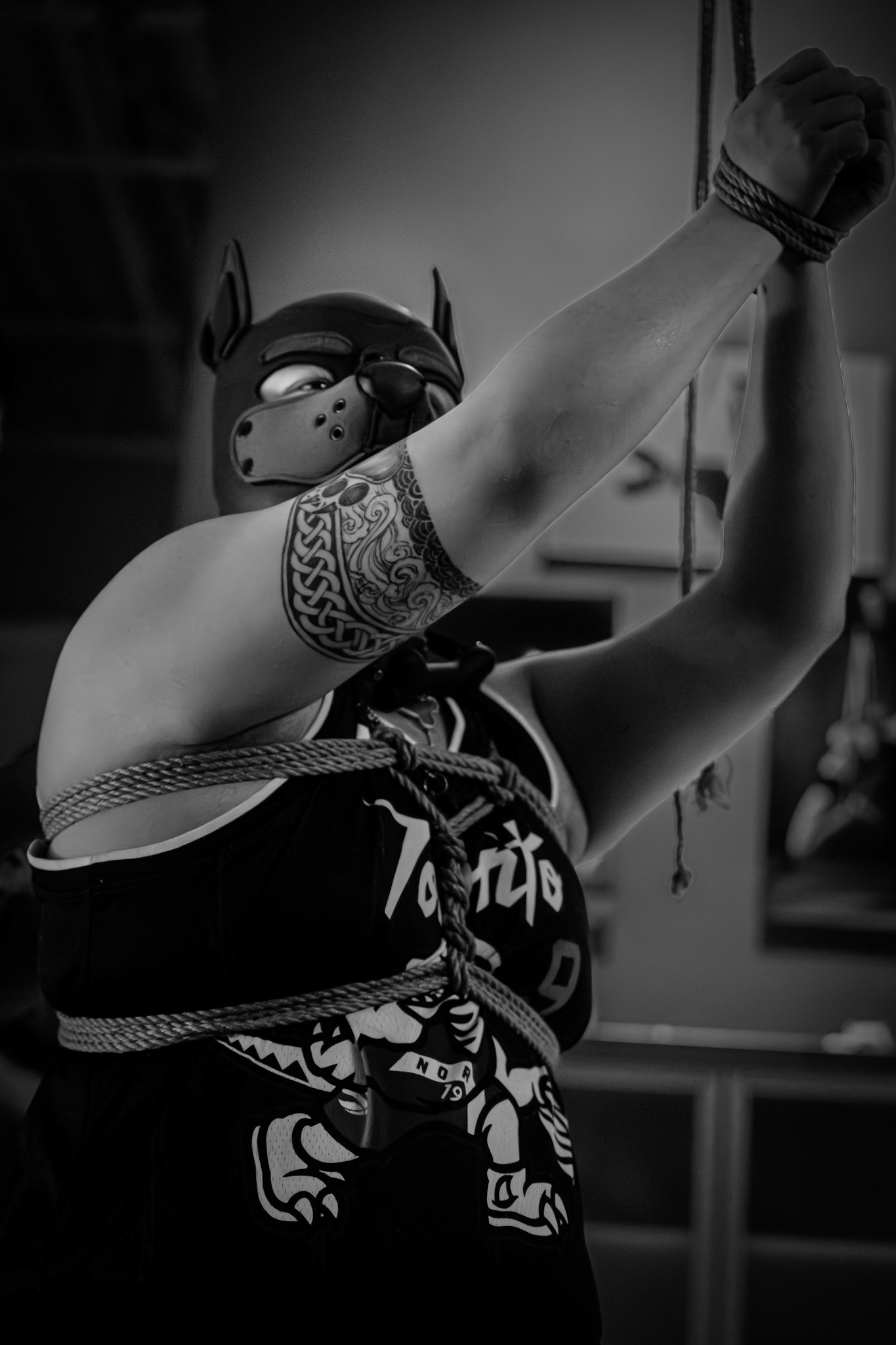 Kinbaku