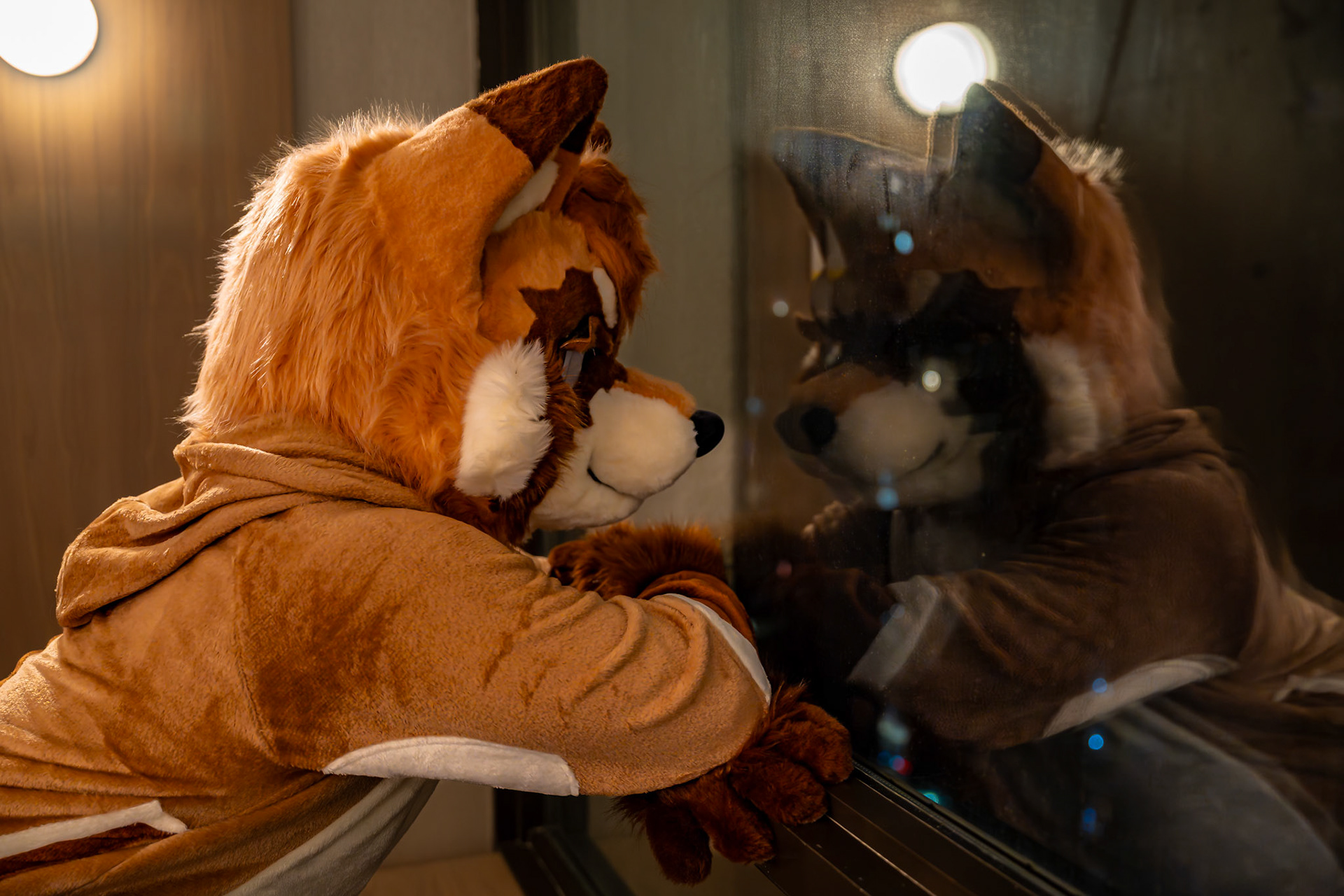 Furnal Equinox