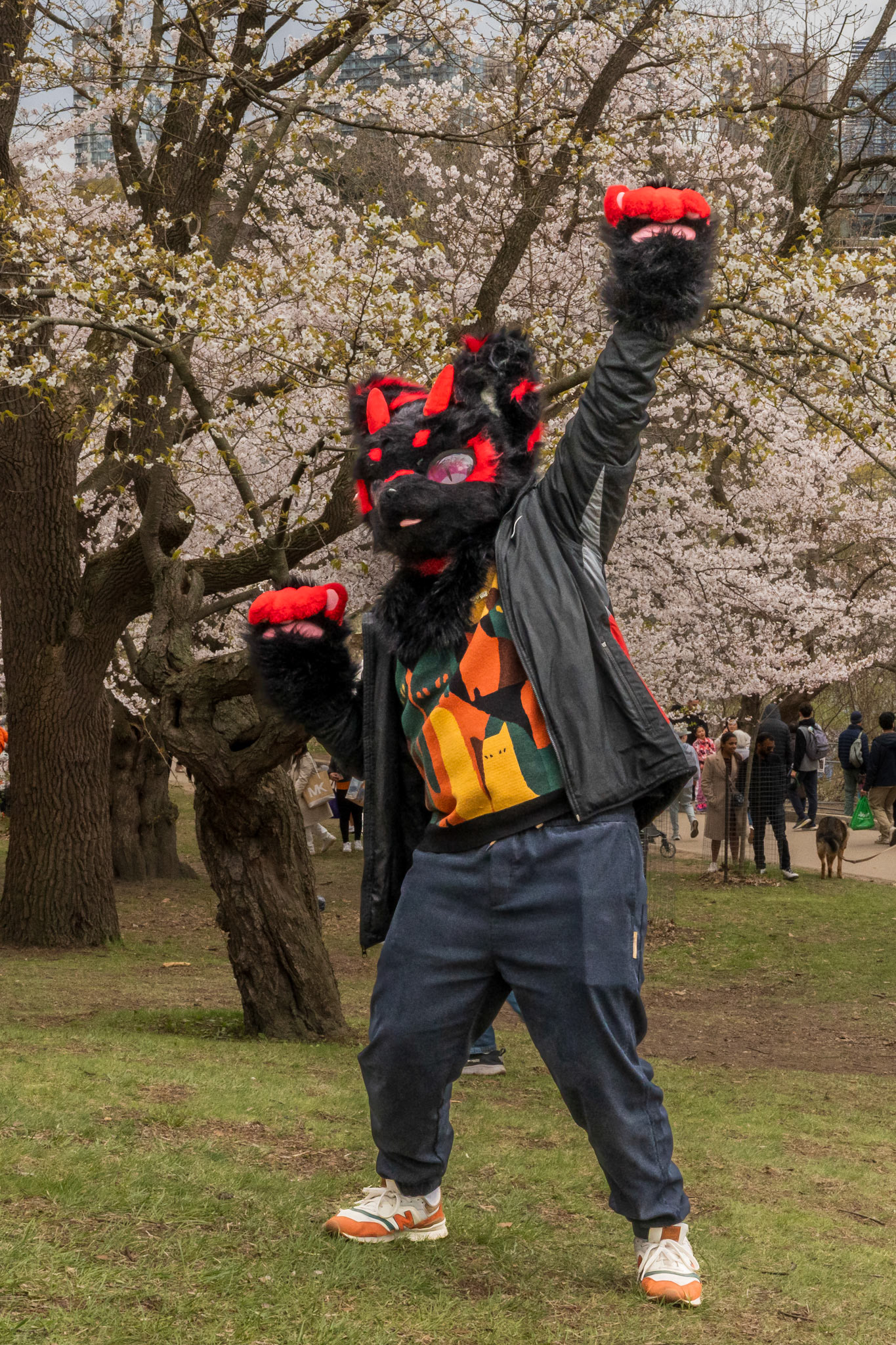 High Park 4.0