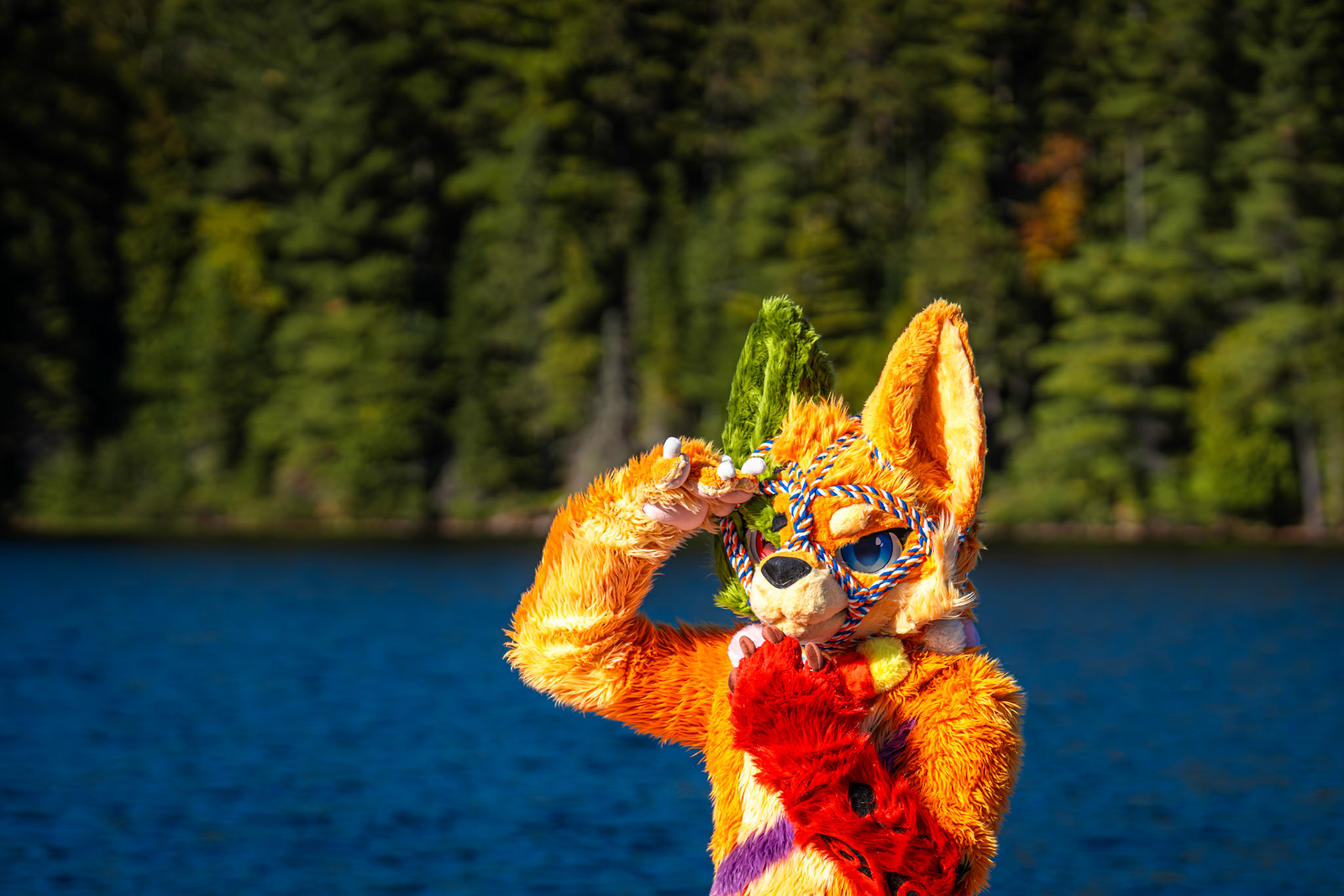 Algonquin Fall Colour