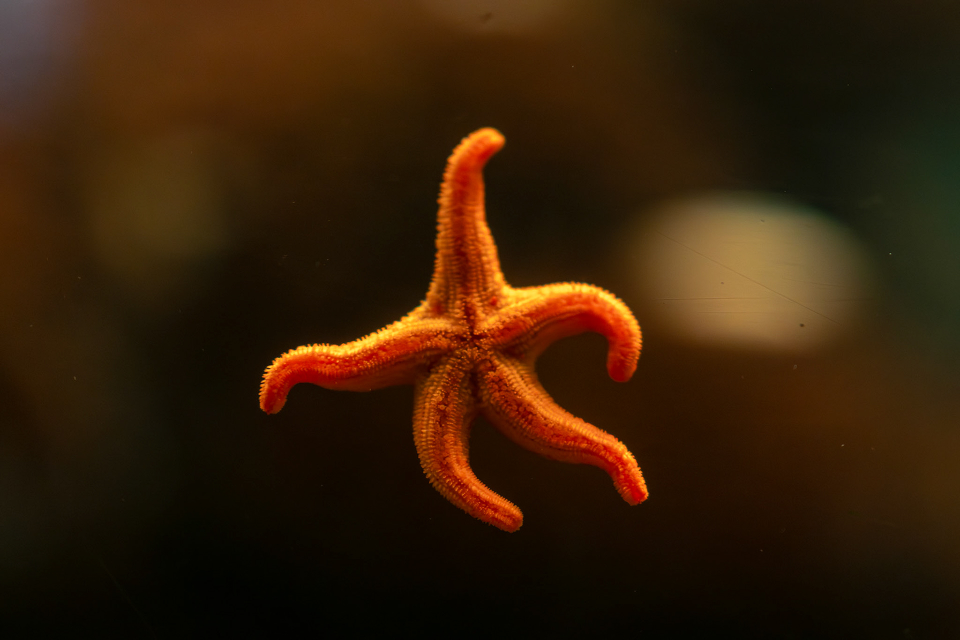 D'Ontario à Québec