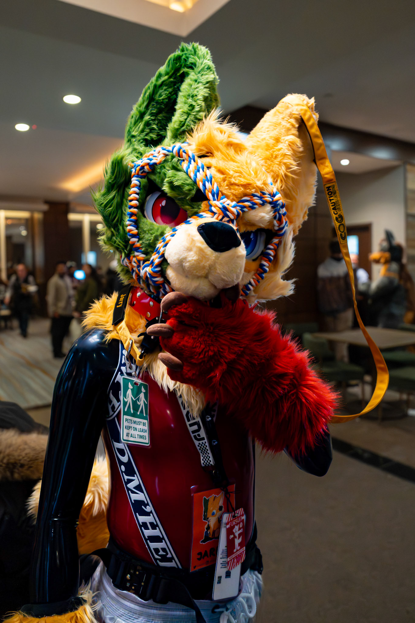 Furnal Equinox
