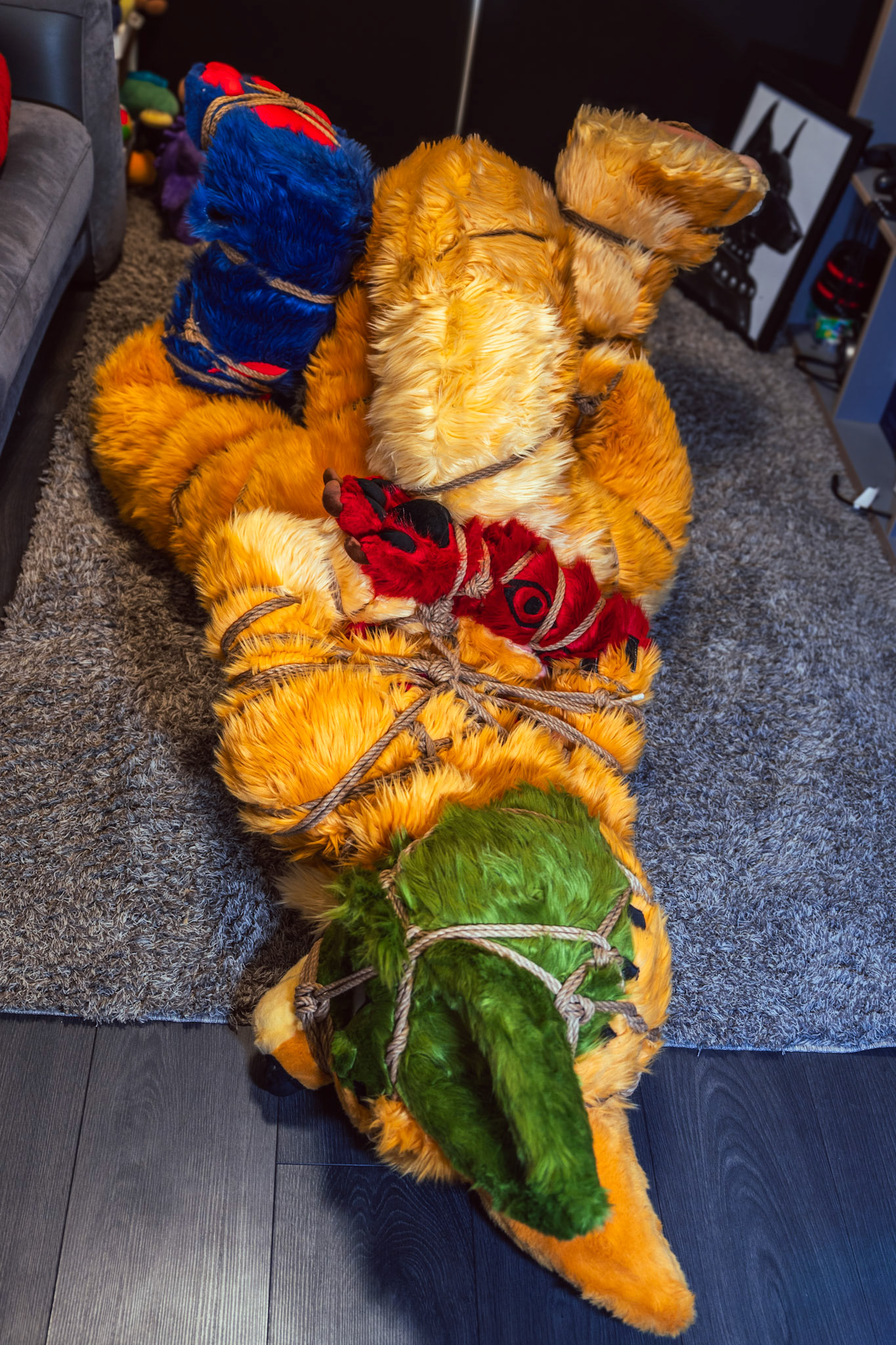 Shibari Inu
