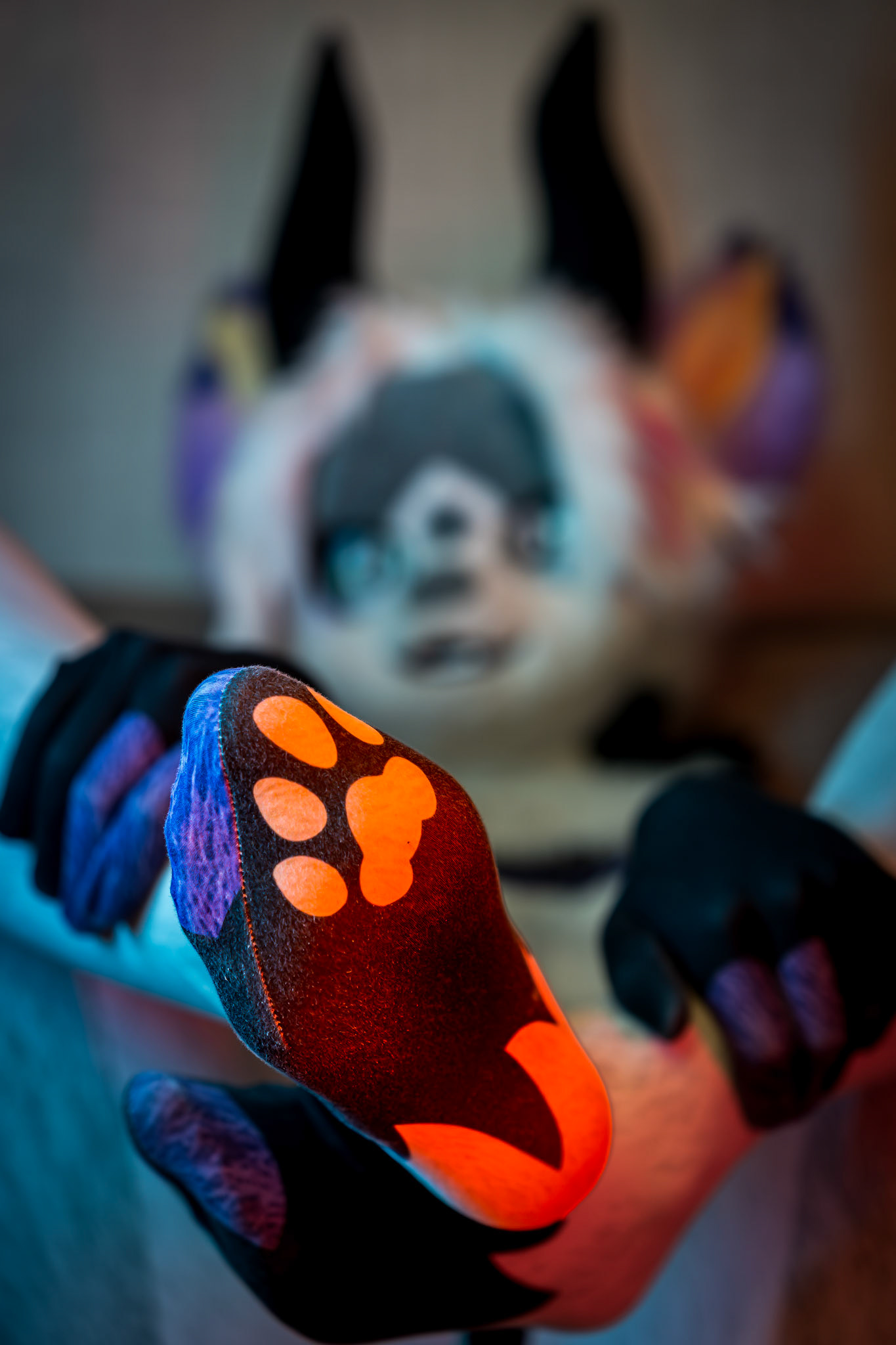 Anthrocon 2026