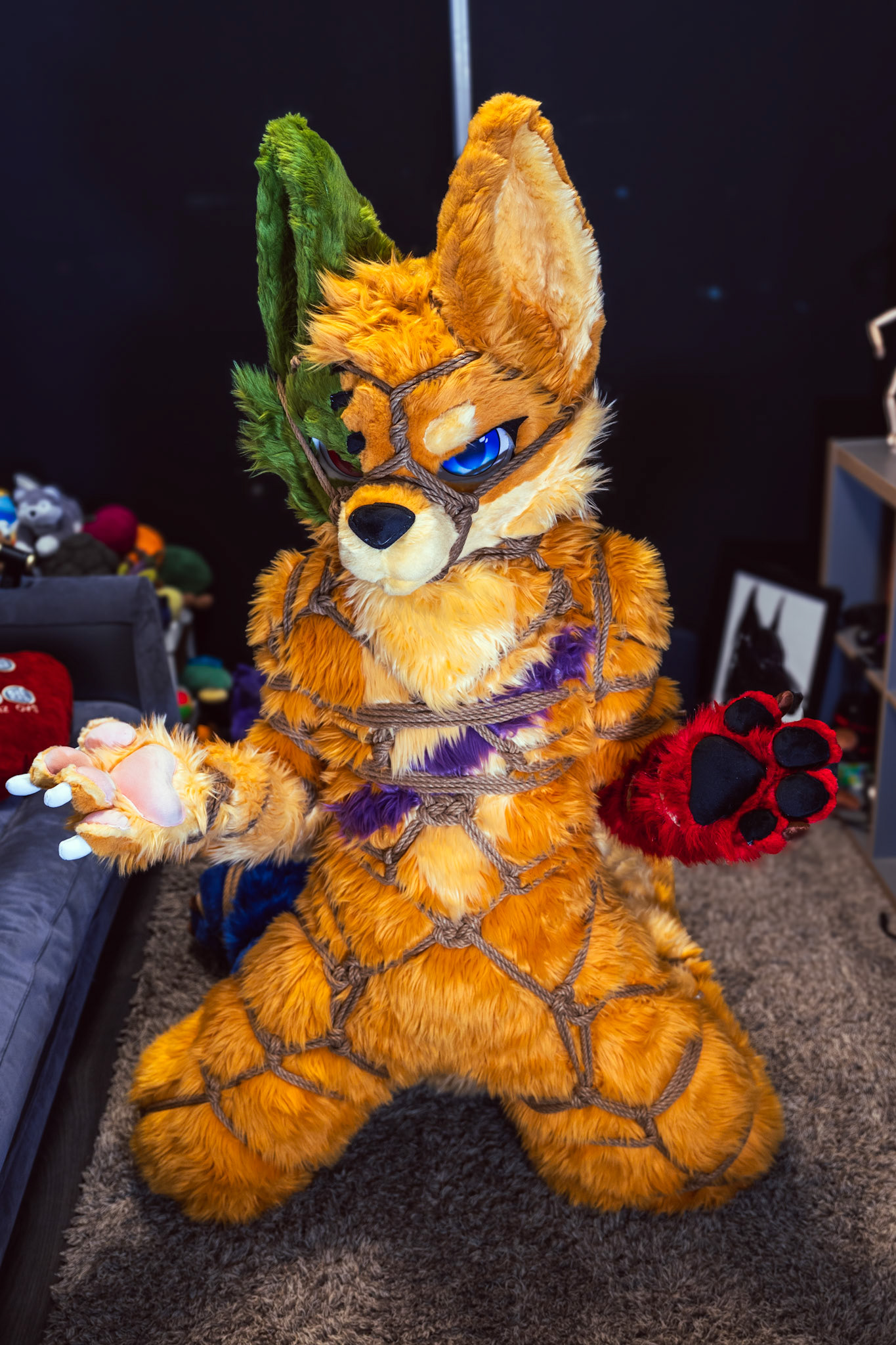 Shibari Inu