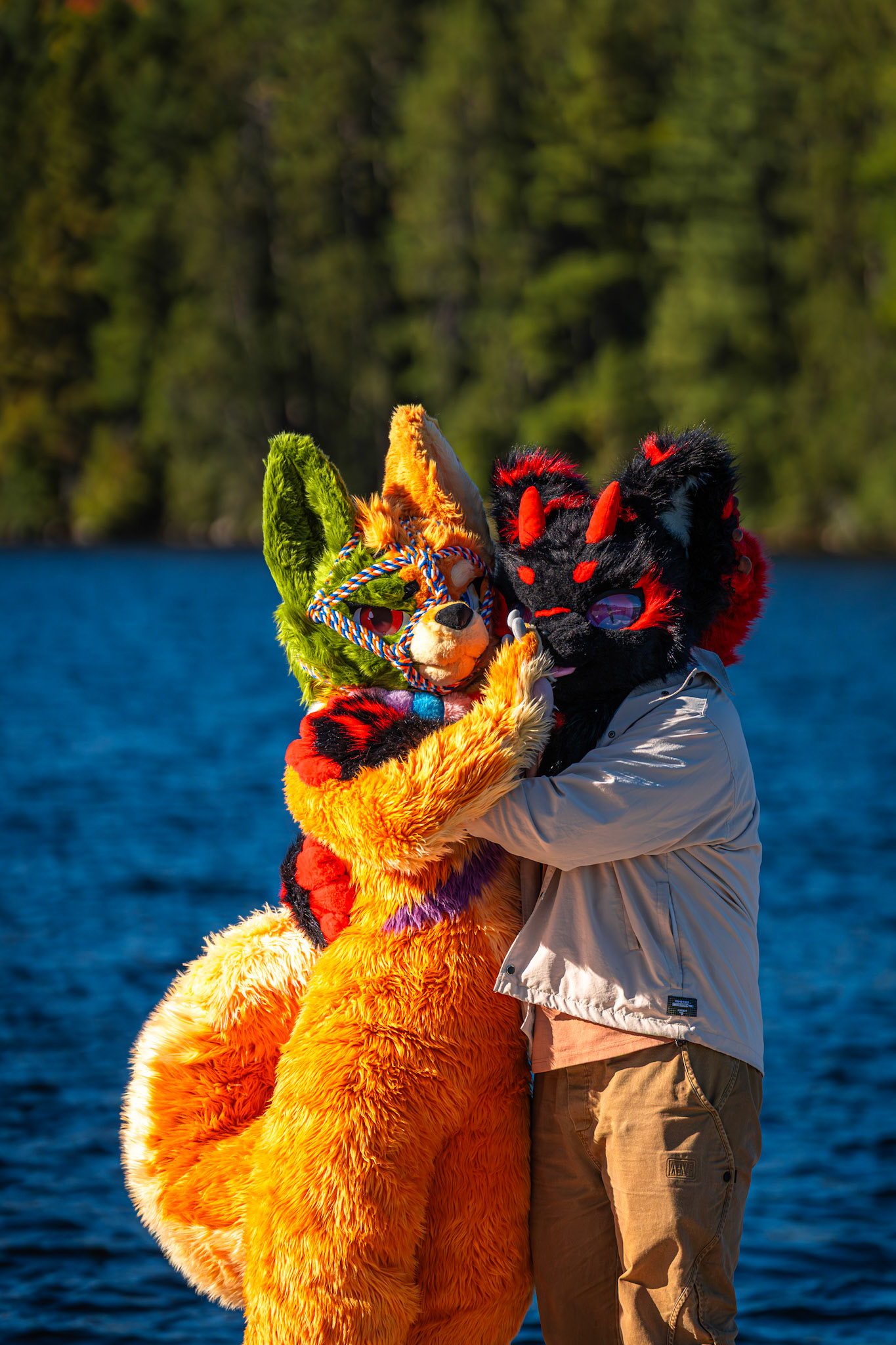 Algonquin Fall Colour