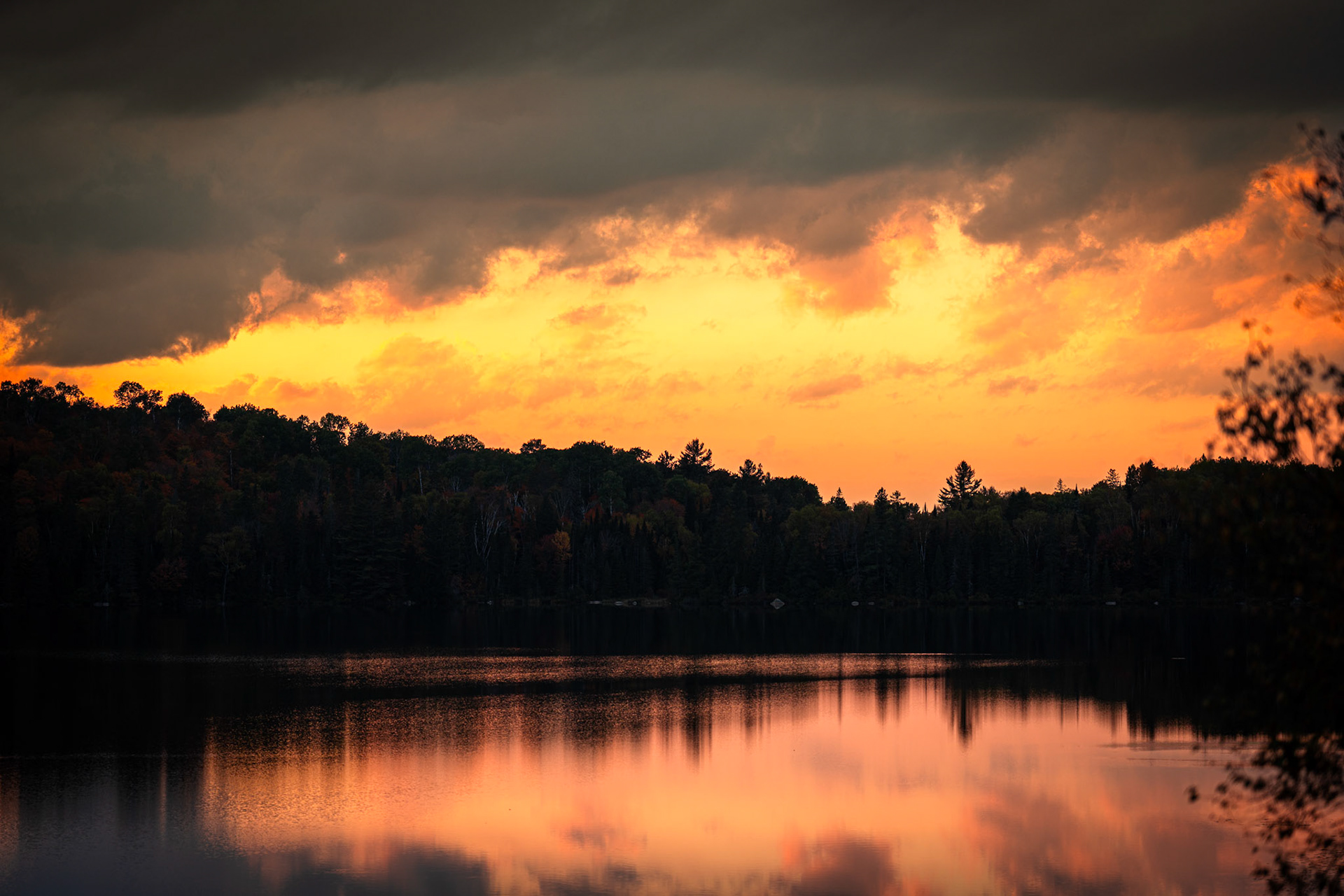 Algonquin Fall Colour