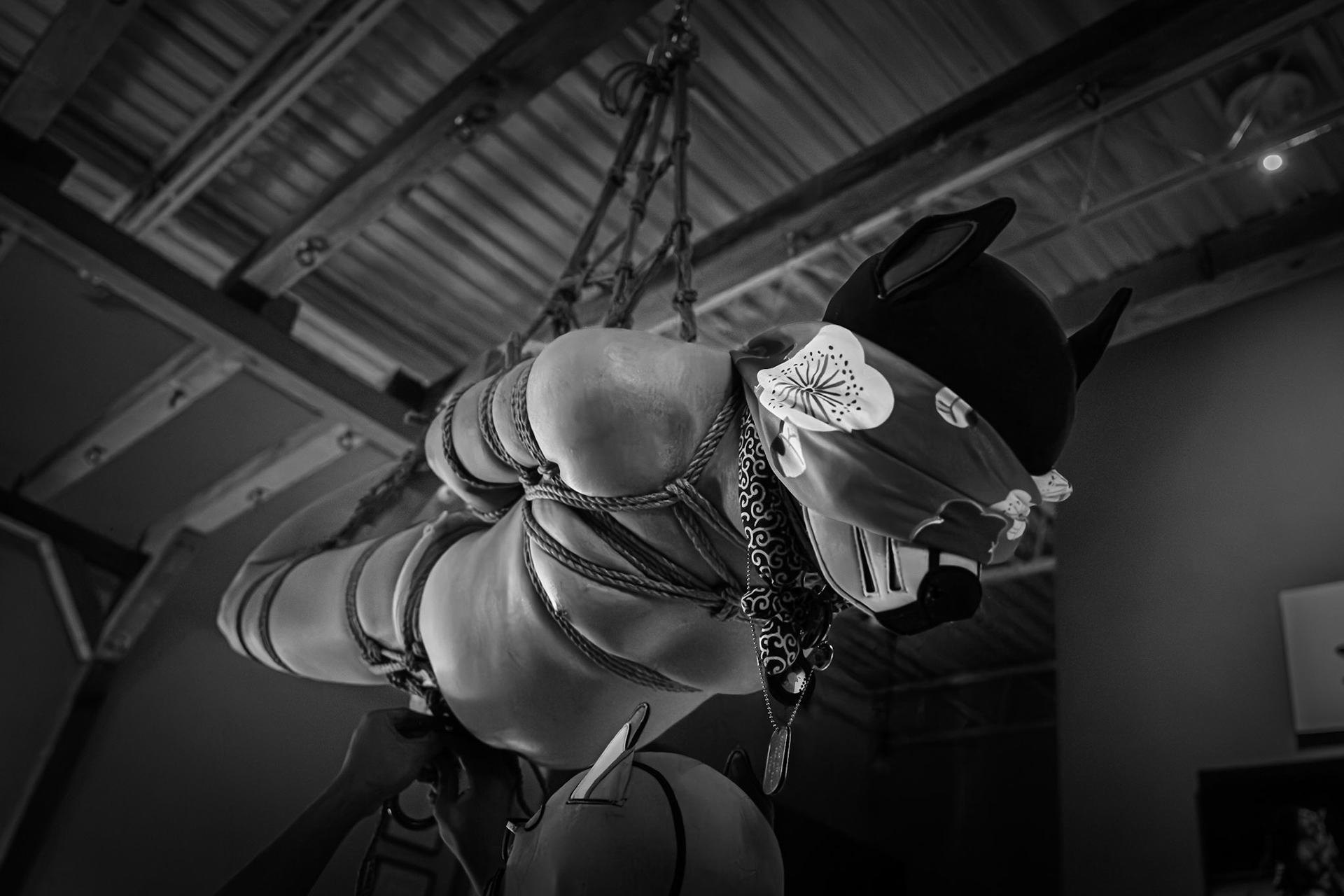 Kinbaku