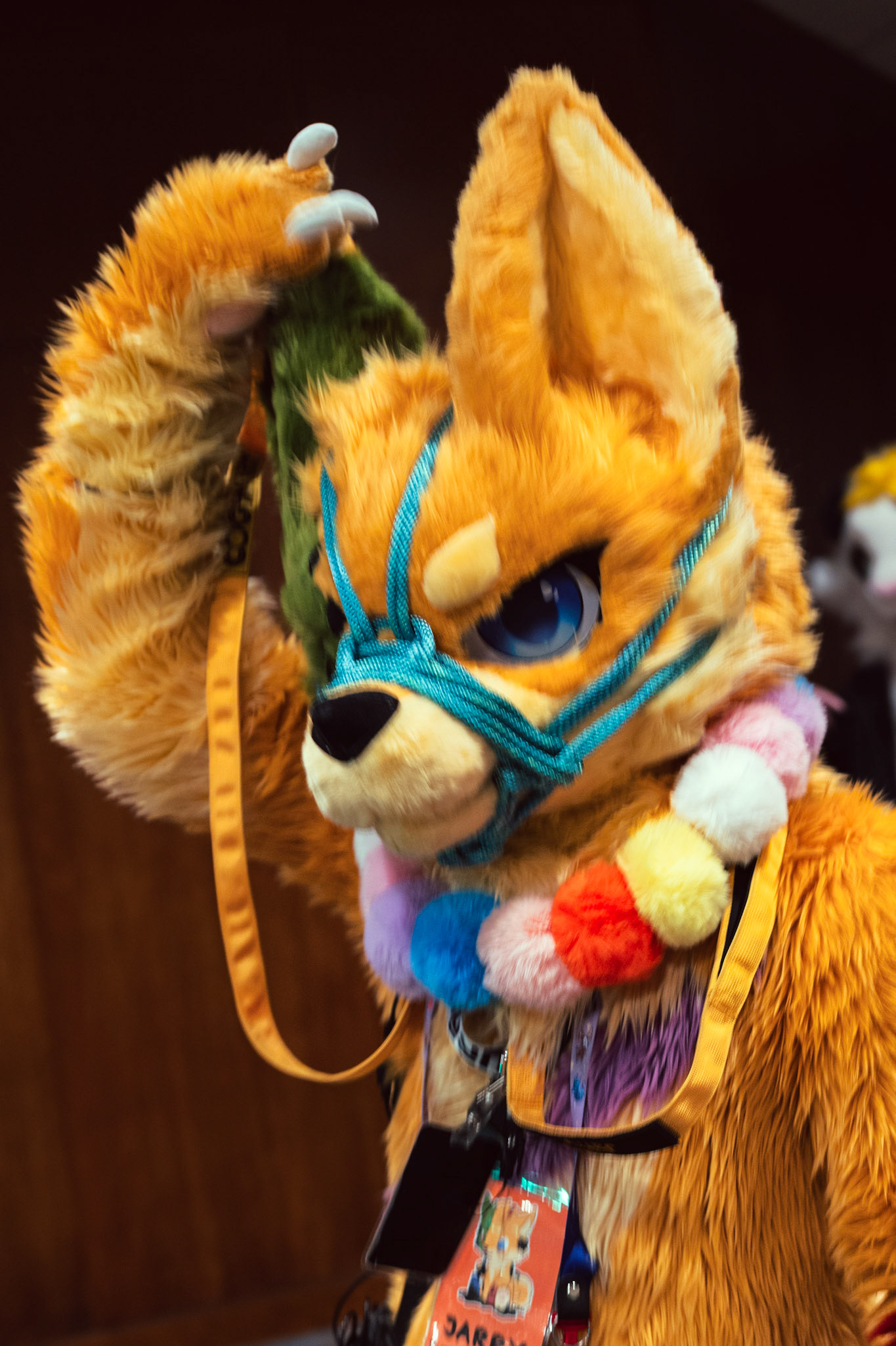 Furnal Equinox 2025