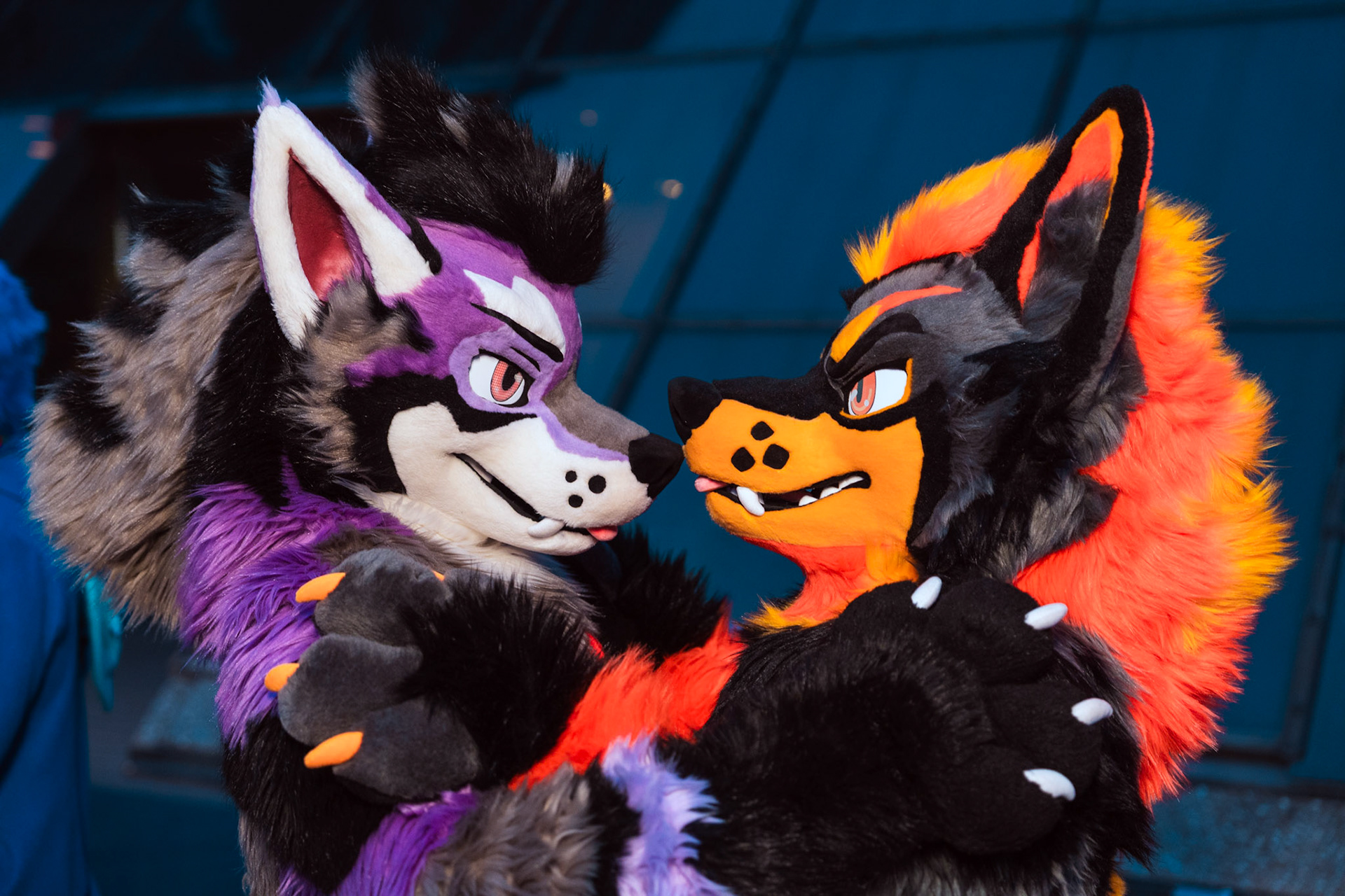 Furnal Equinox 2025