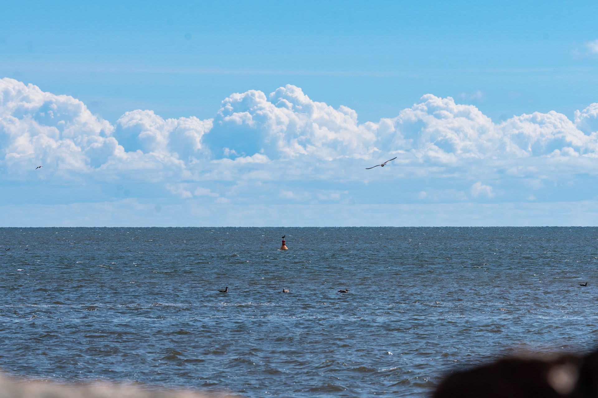 PEI Labour Day Trip