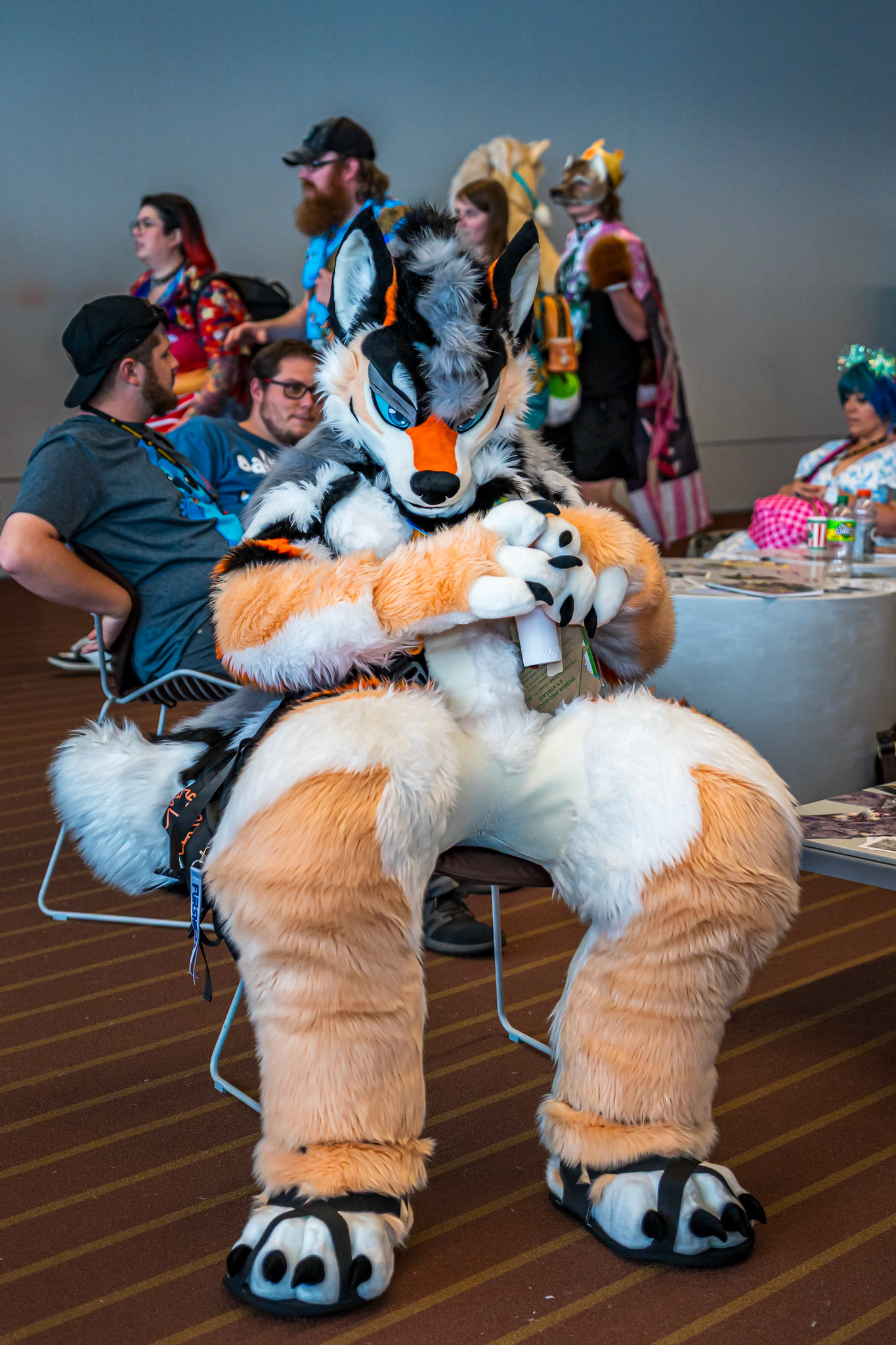 Anthrocon 2026