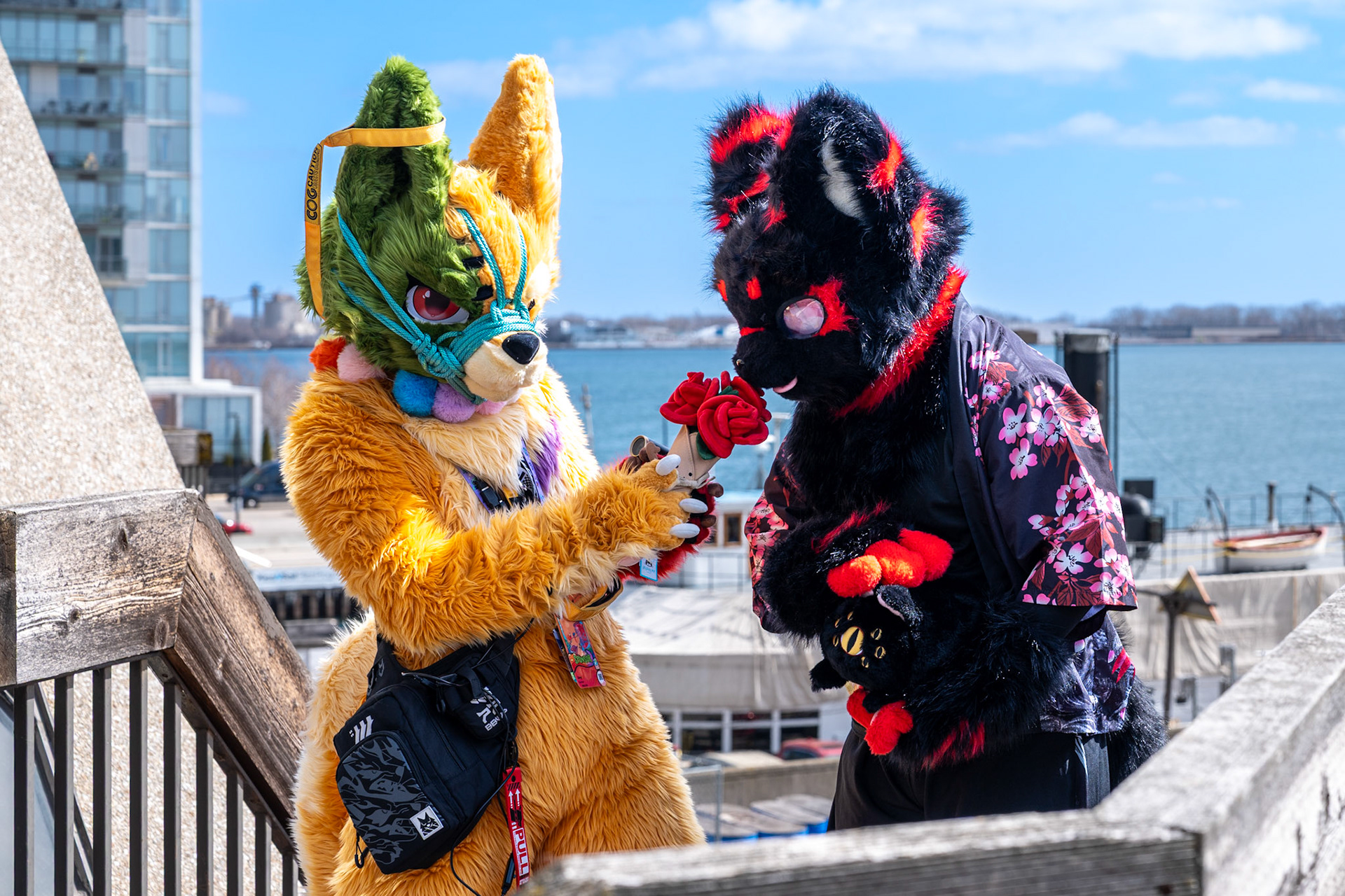 Furnal Equinox 2025