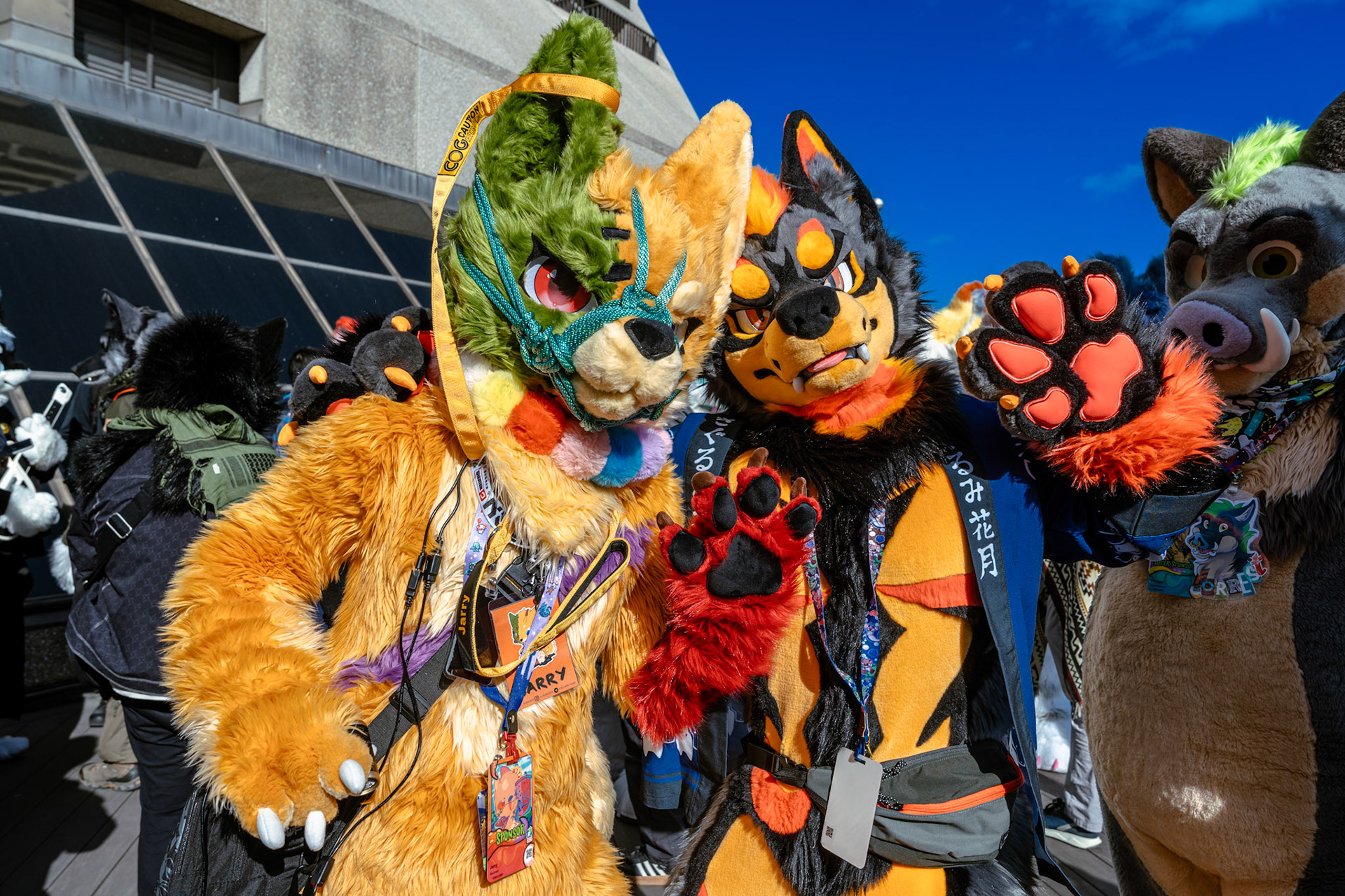 Furnal Equinox 2025