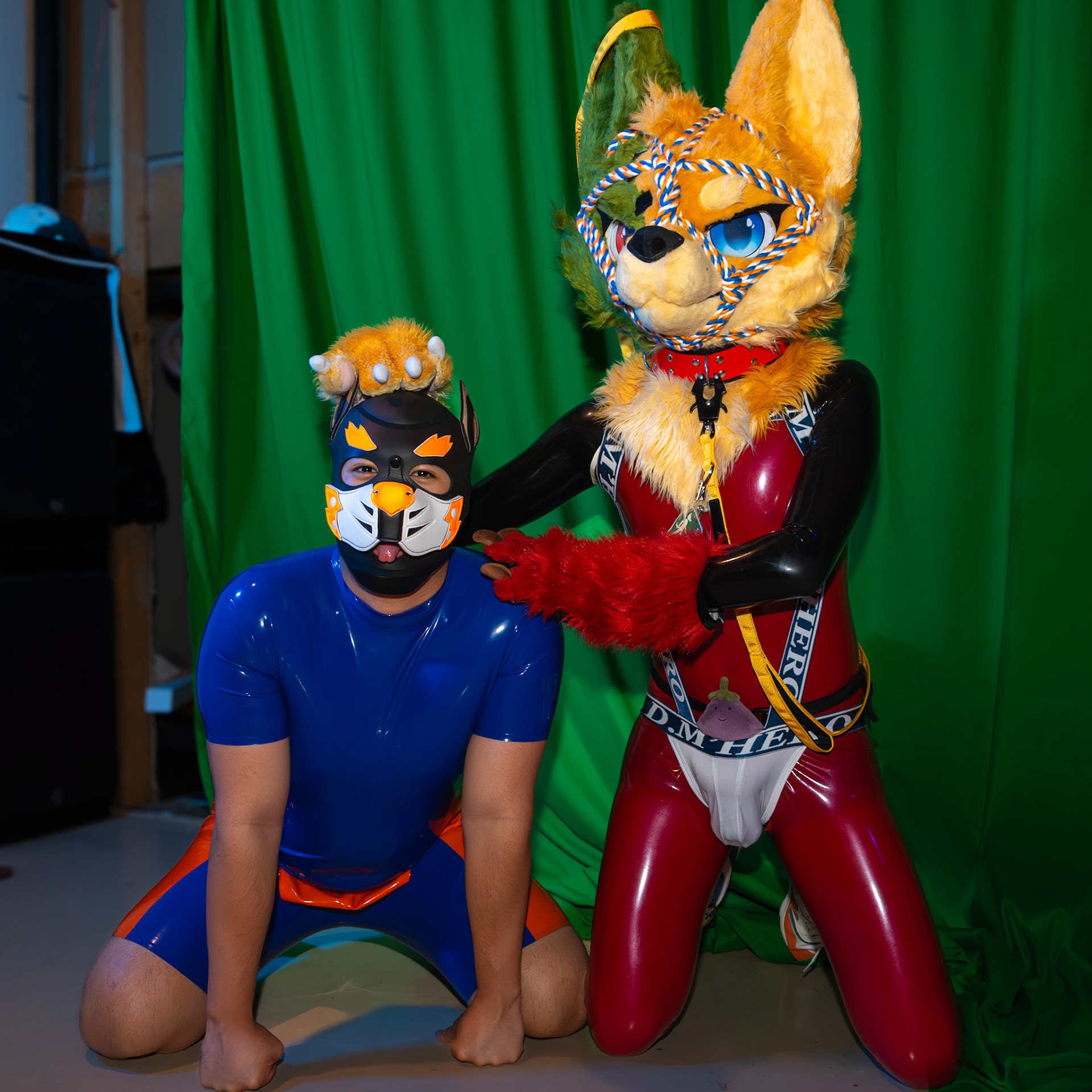 Pawty #2