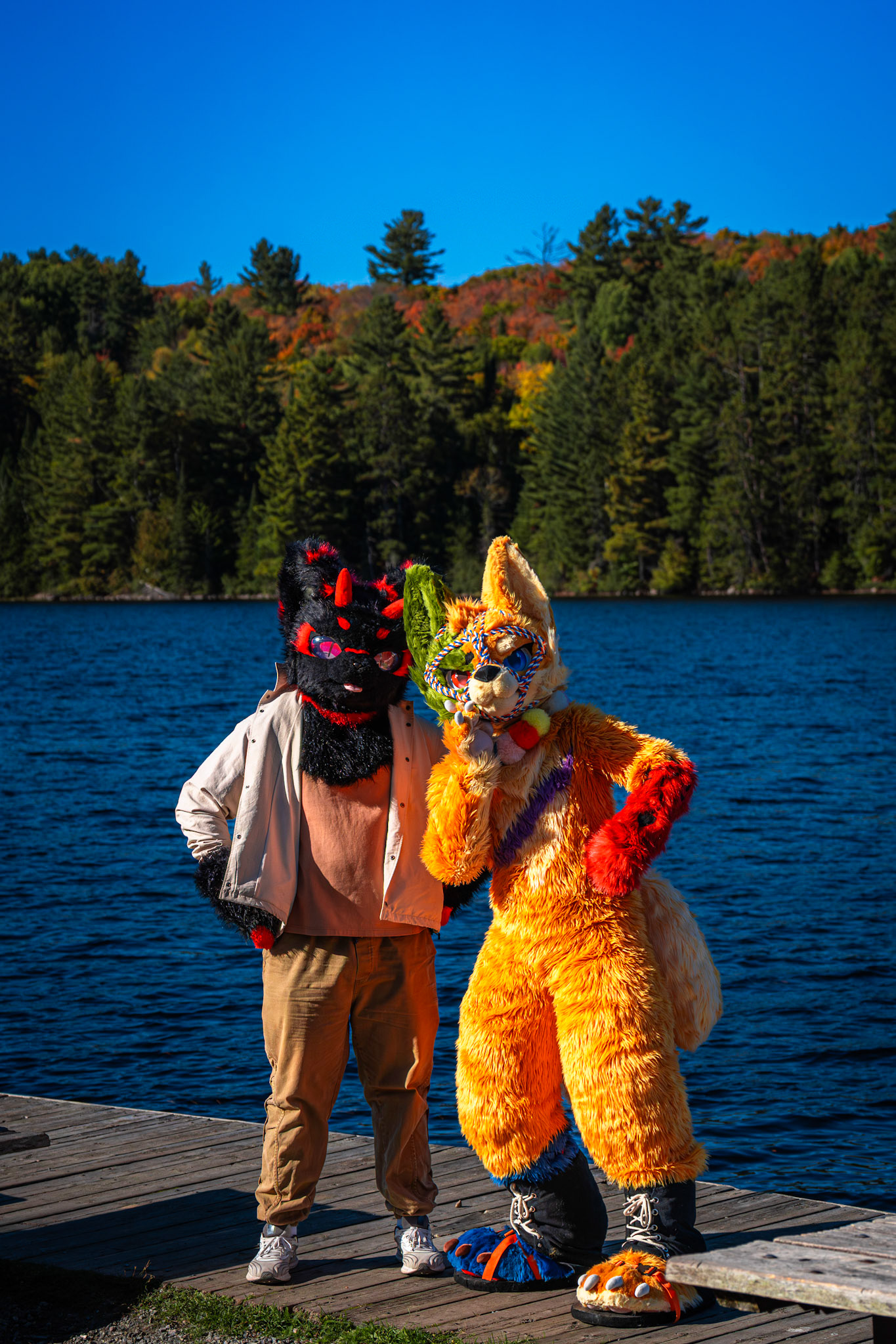 Algonquin Fall Colour