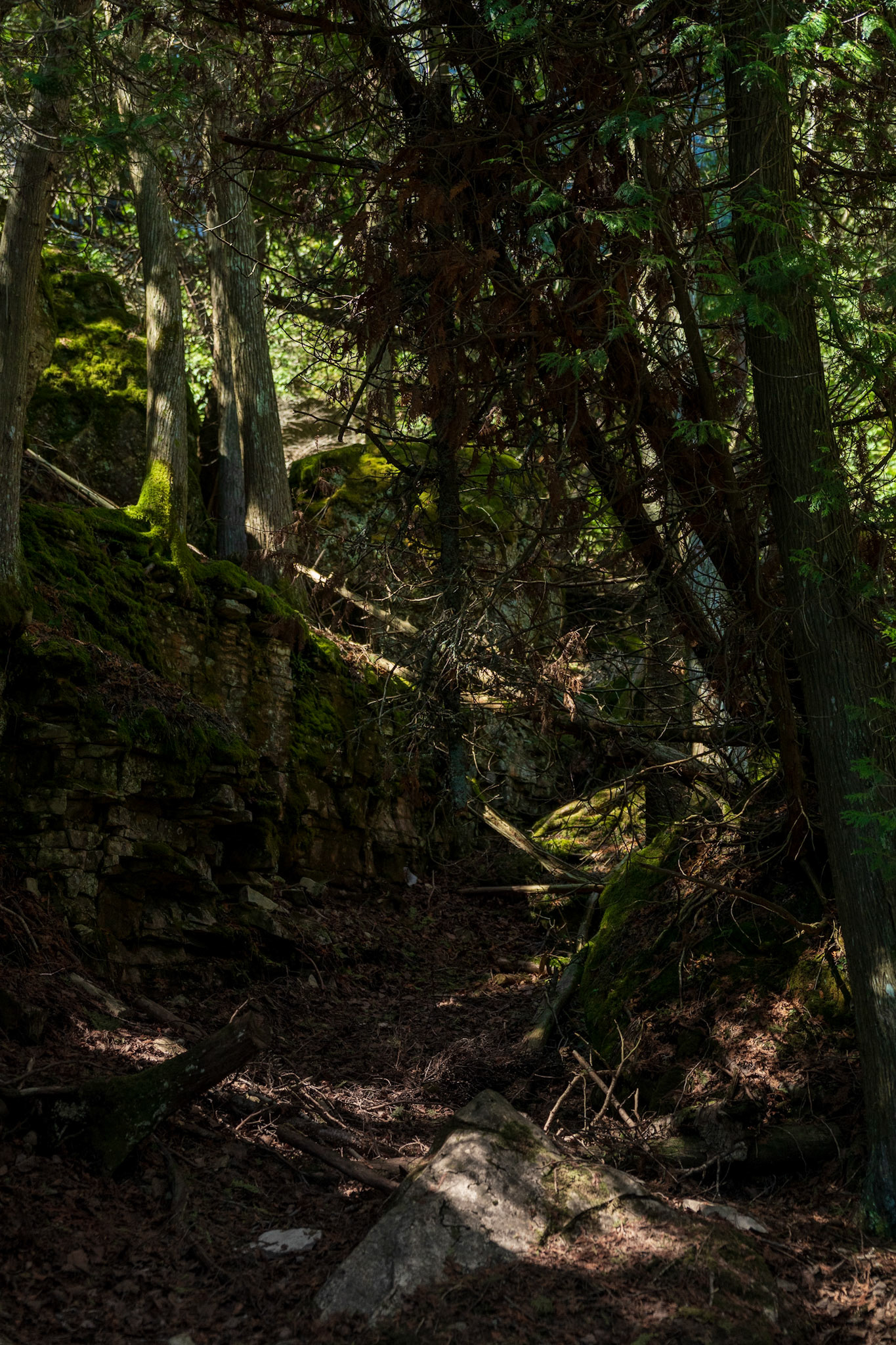 Bruce Peninsula