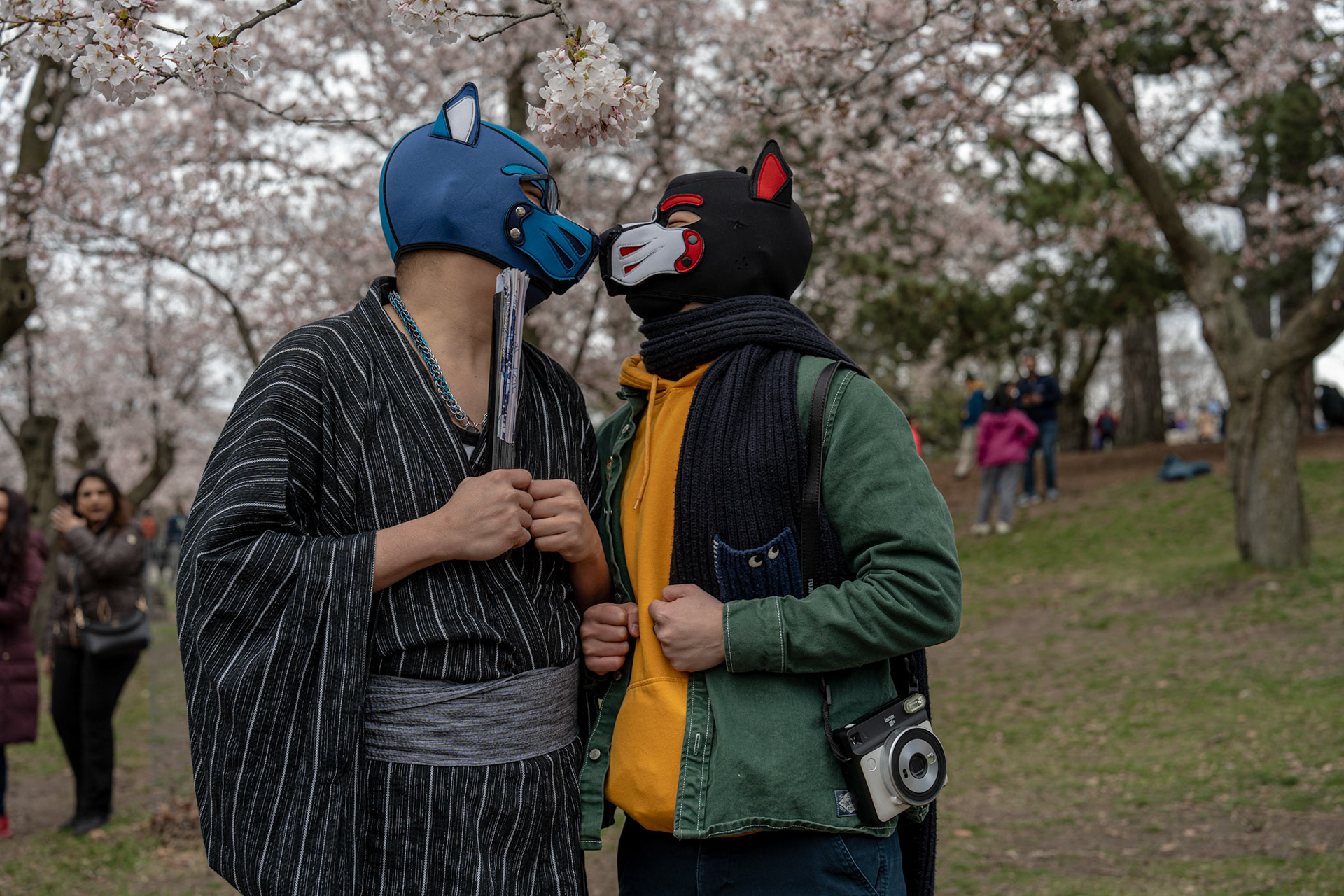 High Park