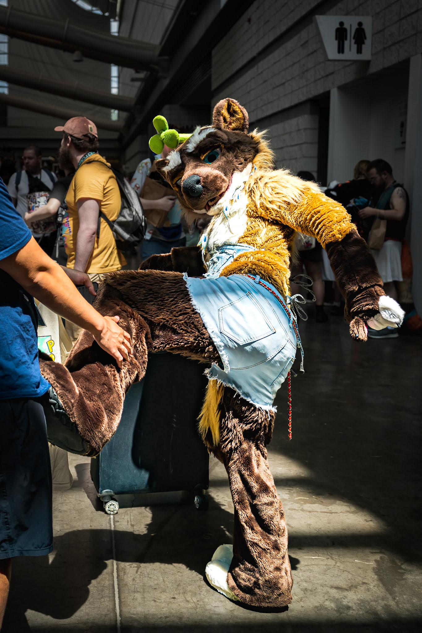 Anthrocon 2026